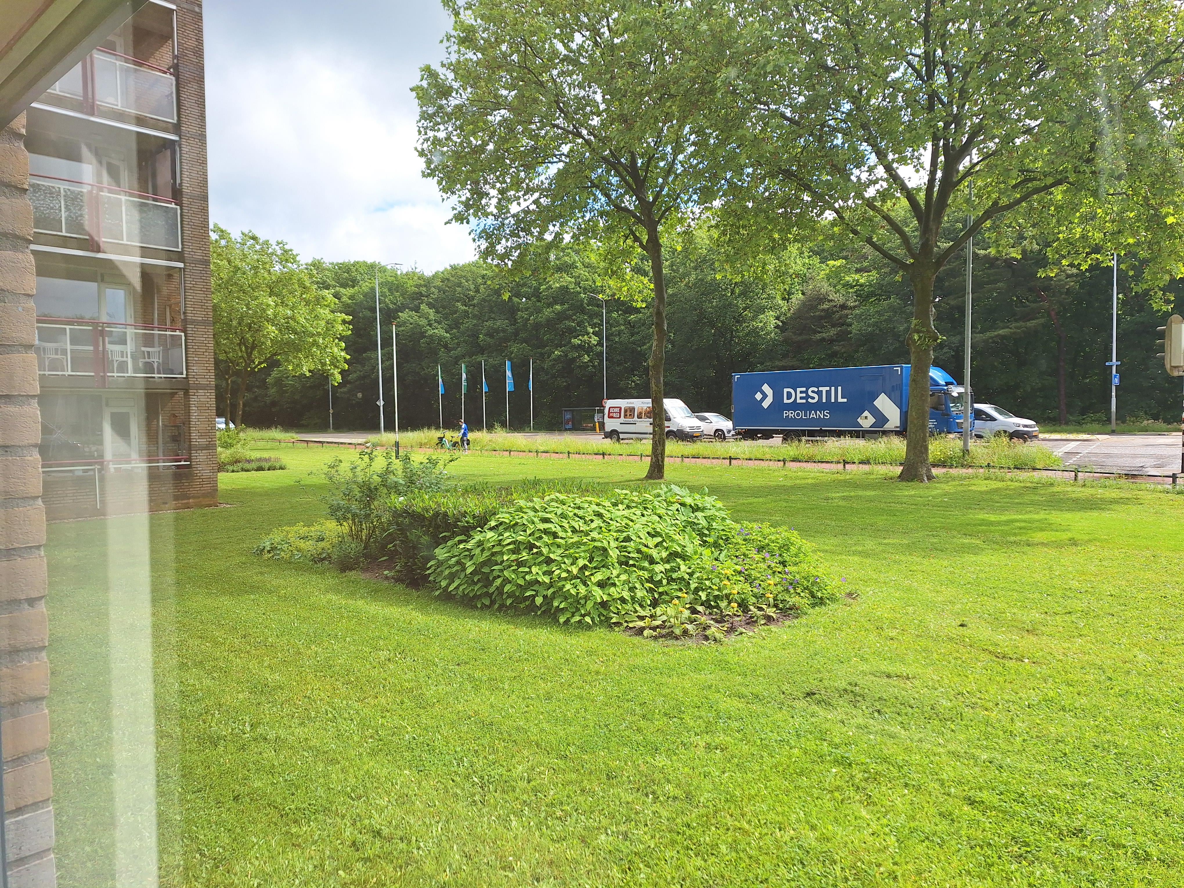 Van Het Hoffplantsoen 15