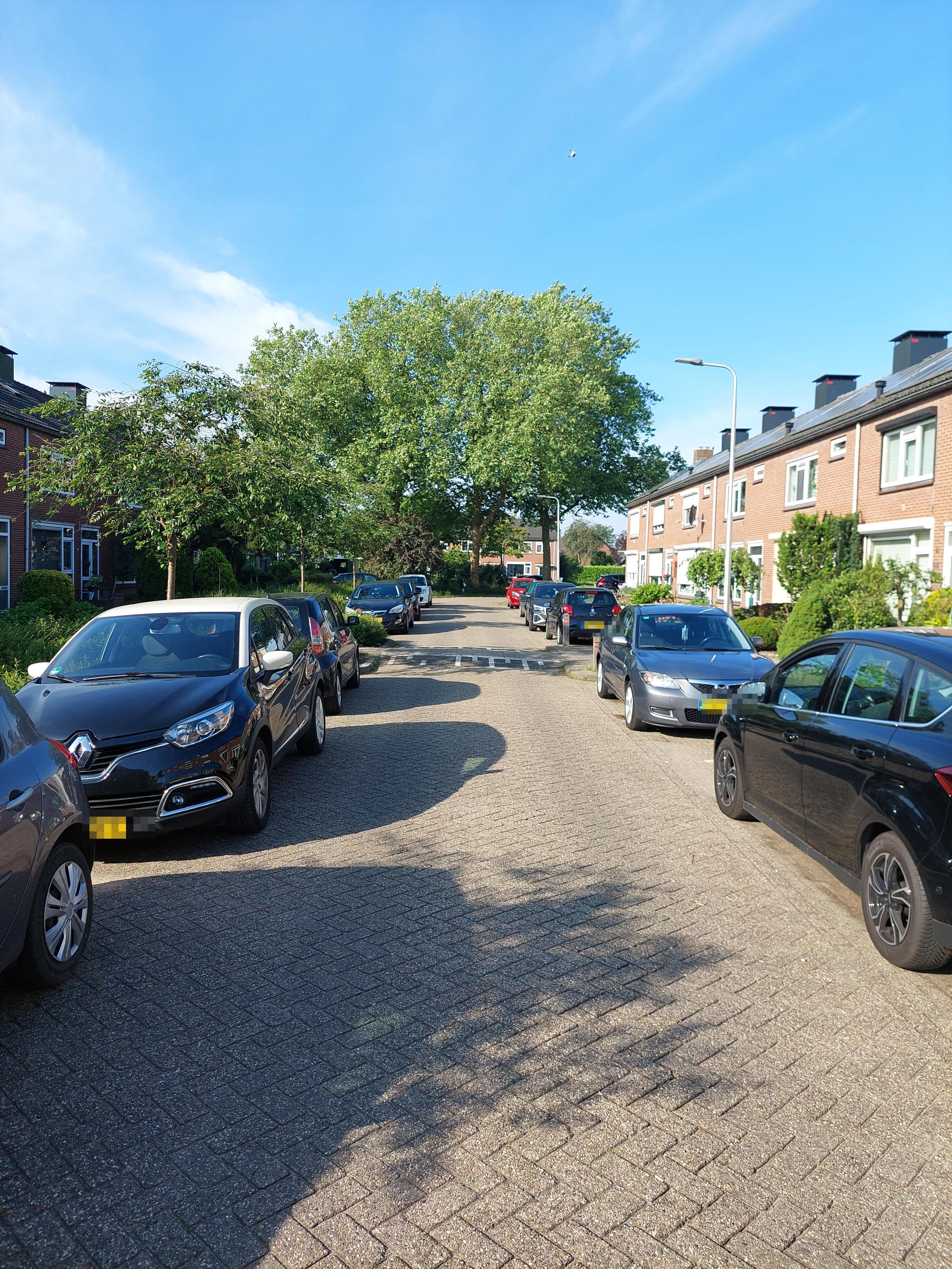 Berkenstraat 37