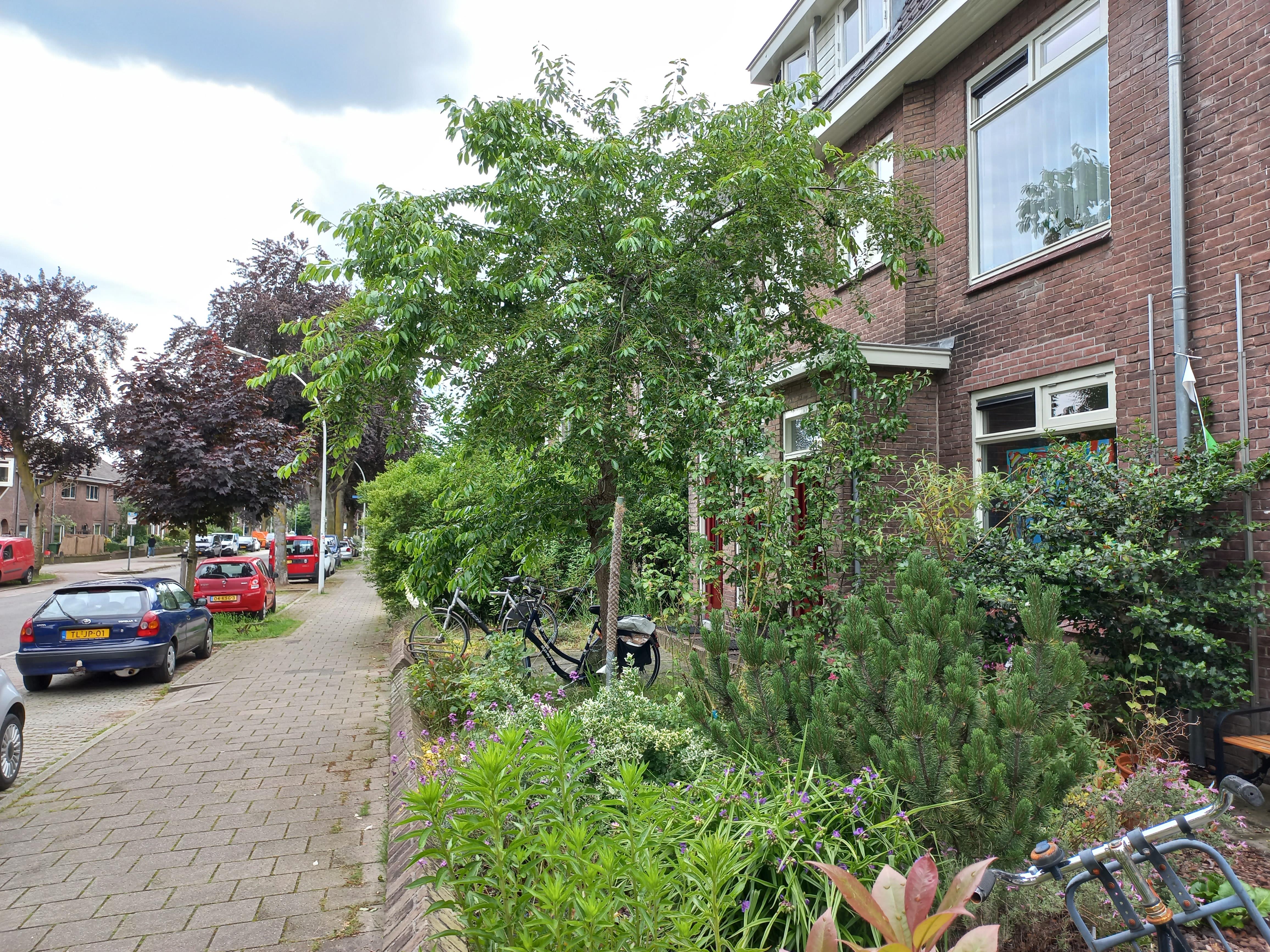 Van 't Sant-straat 69