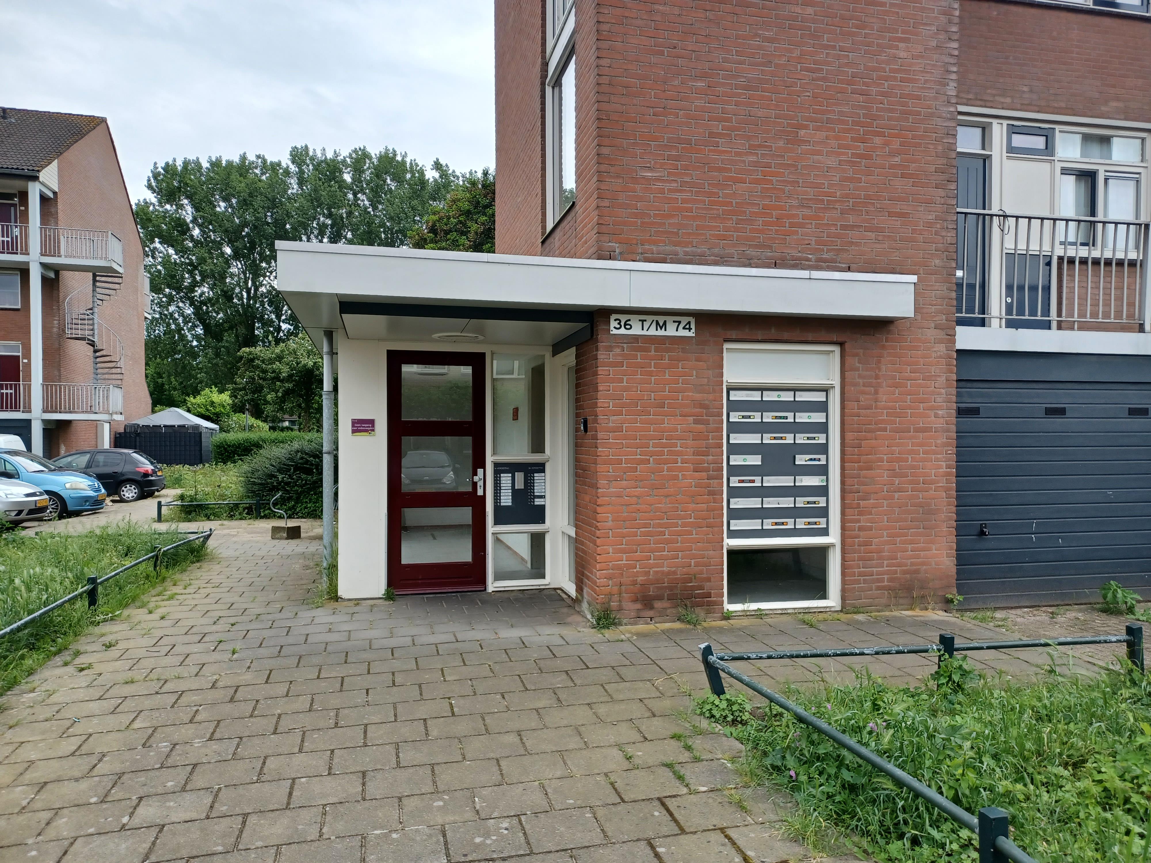 Halve Morgen 60