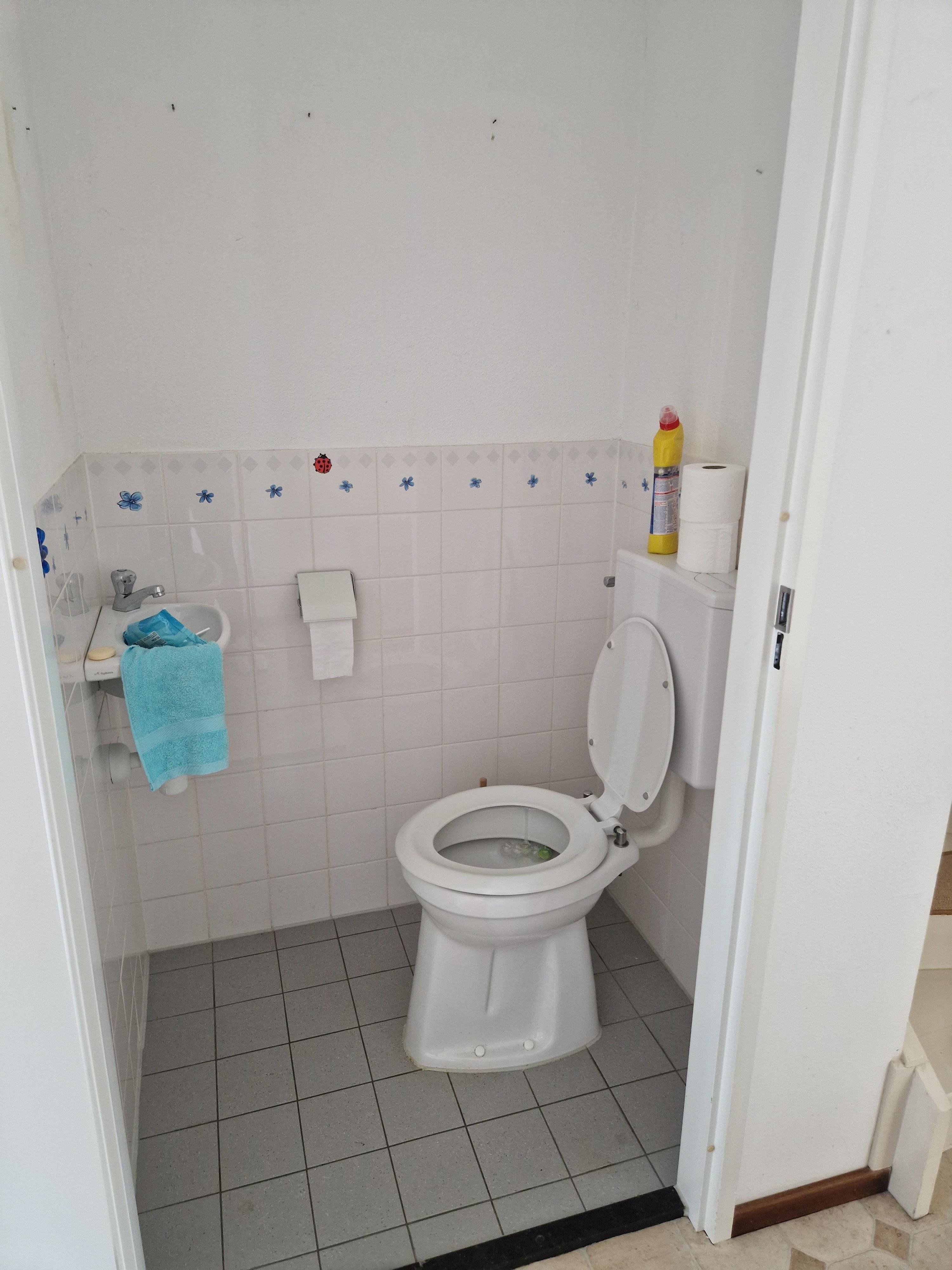 Eekhoornstraat 7