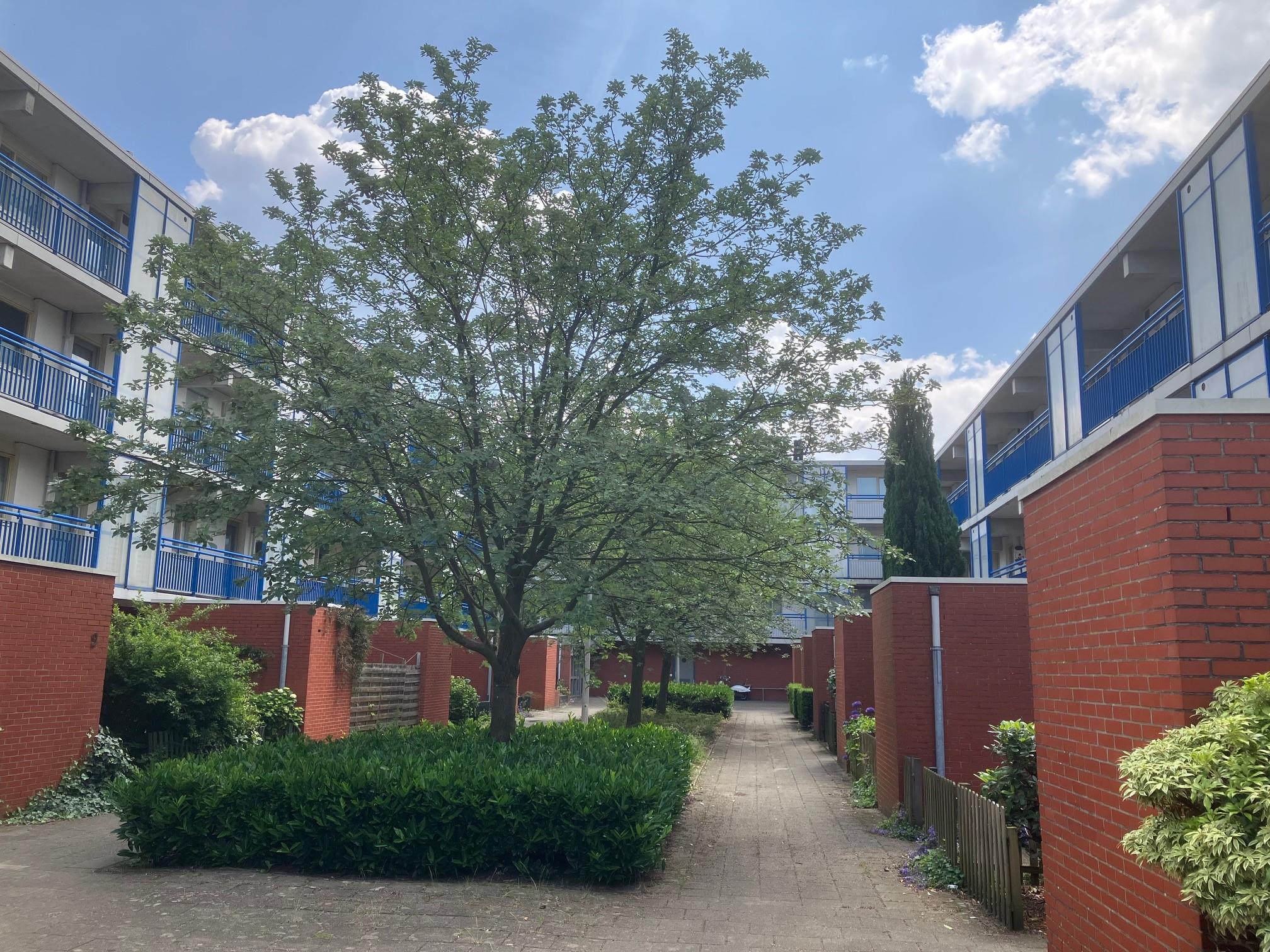 Hendrik de Keijserstraat 131