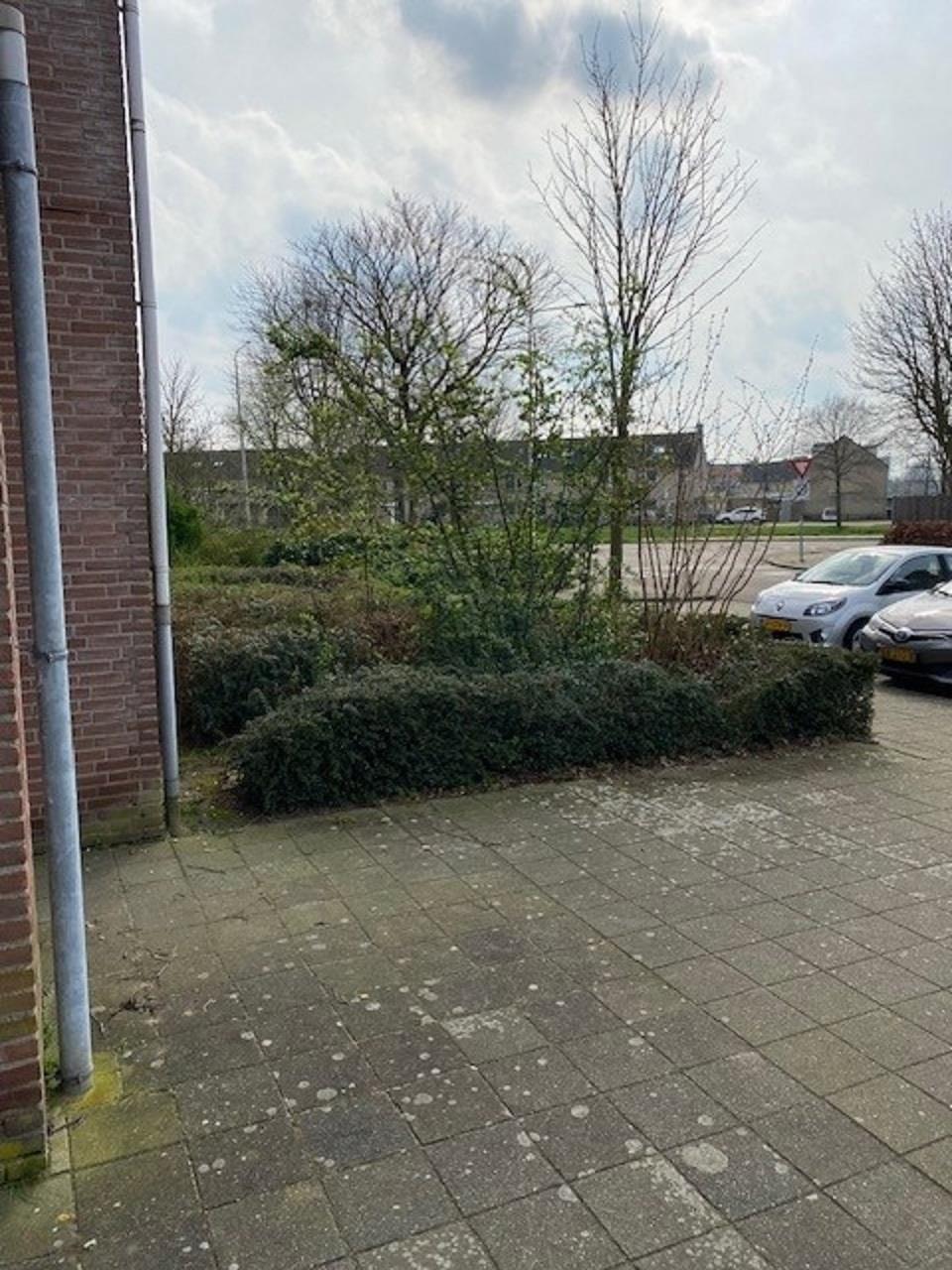 Hillekensacker 3172