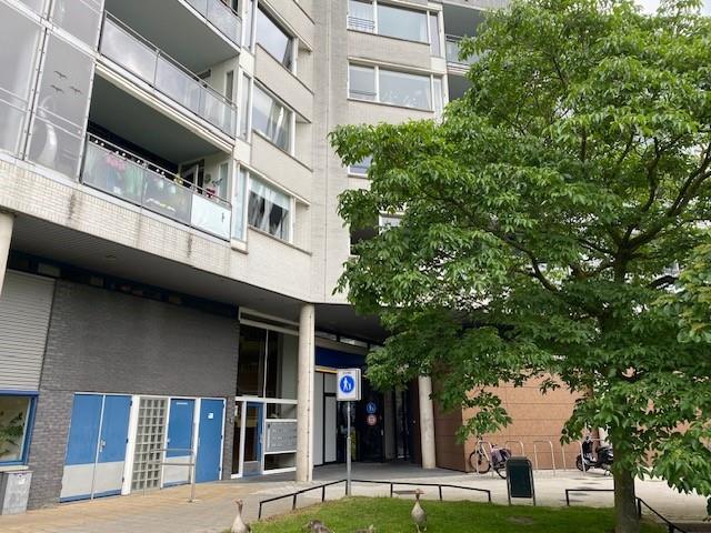 Cabaret 53, 6836 NG Arnhem, Nederland