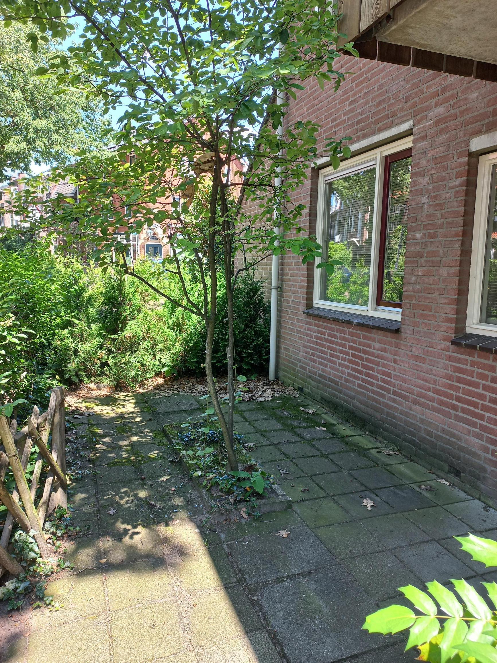 Groesbeeksedwarsweg 221