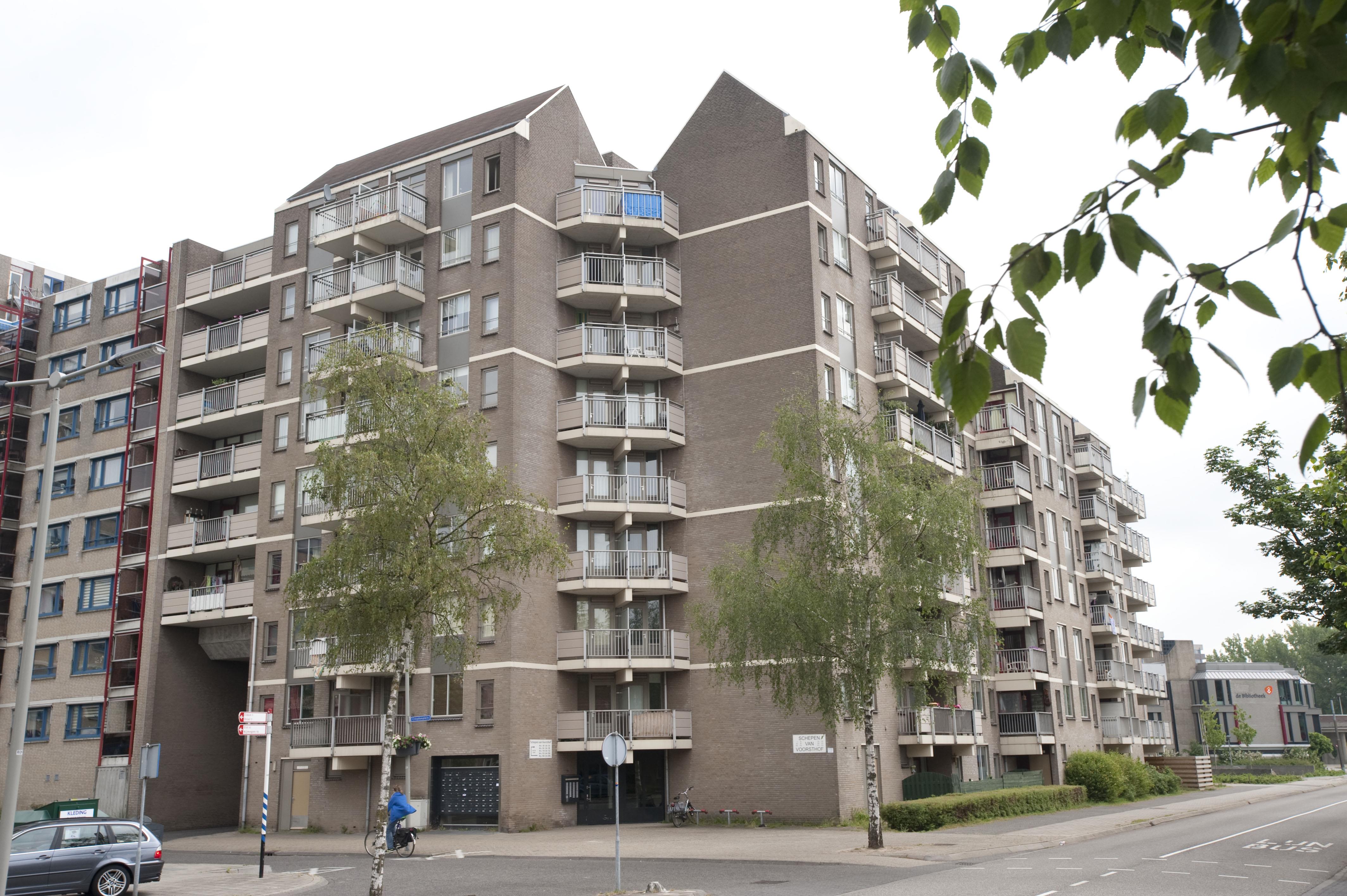 Schepen van Voorsthof 100