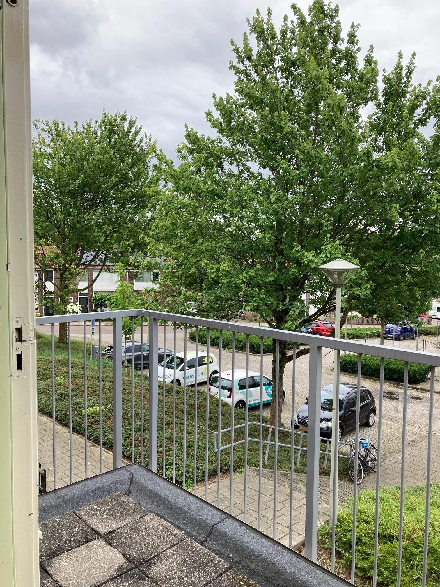 Papaverstraat 36