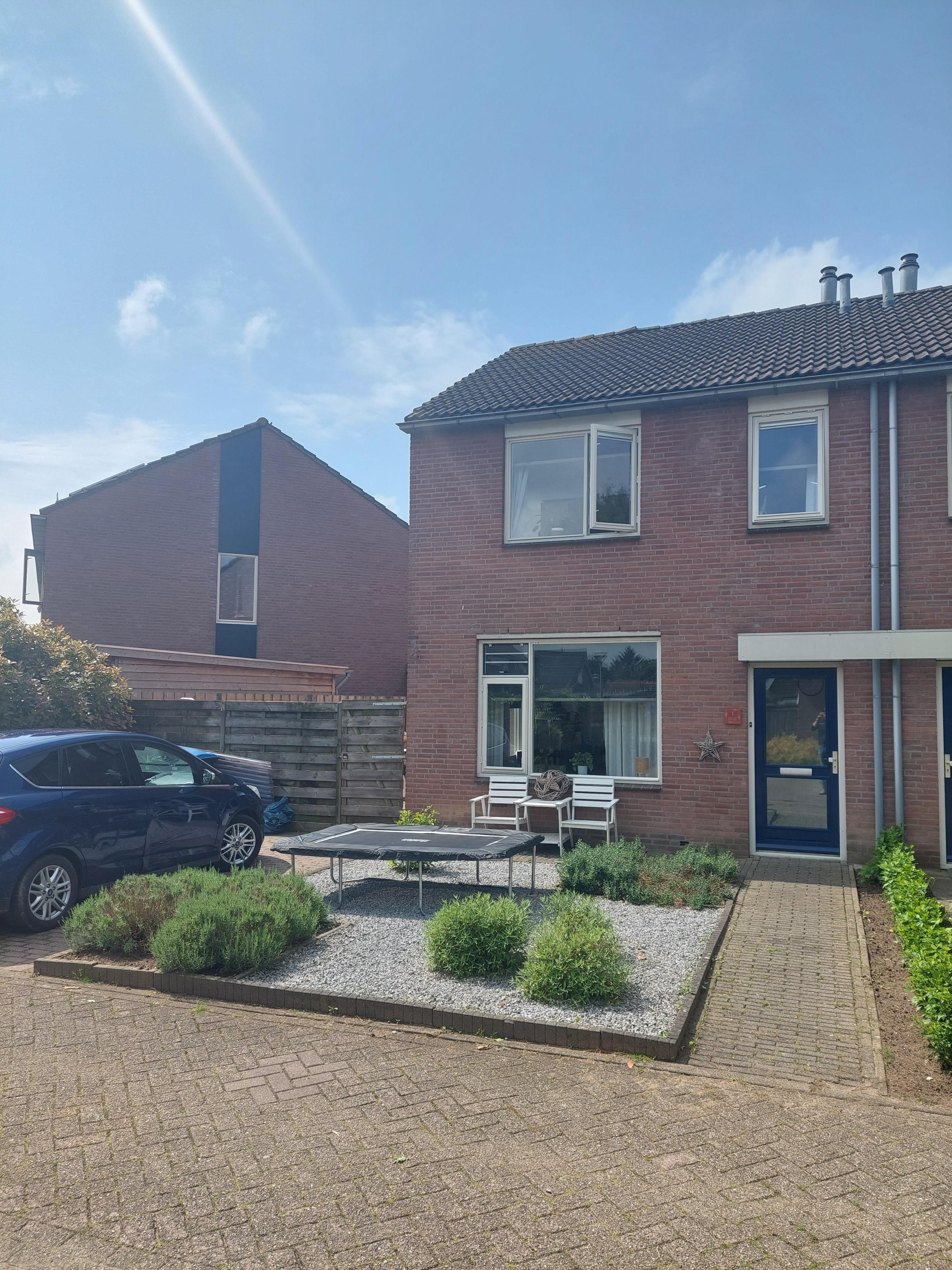 Boterbloem 1