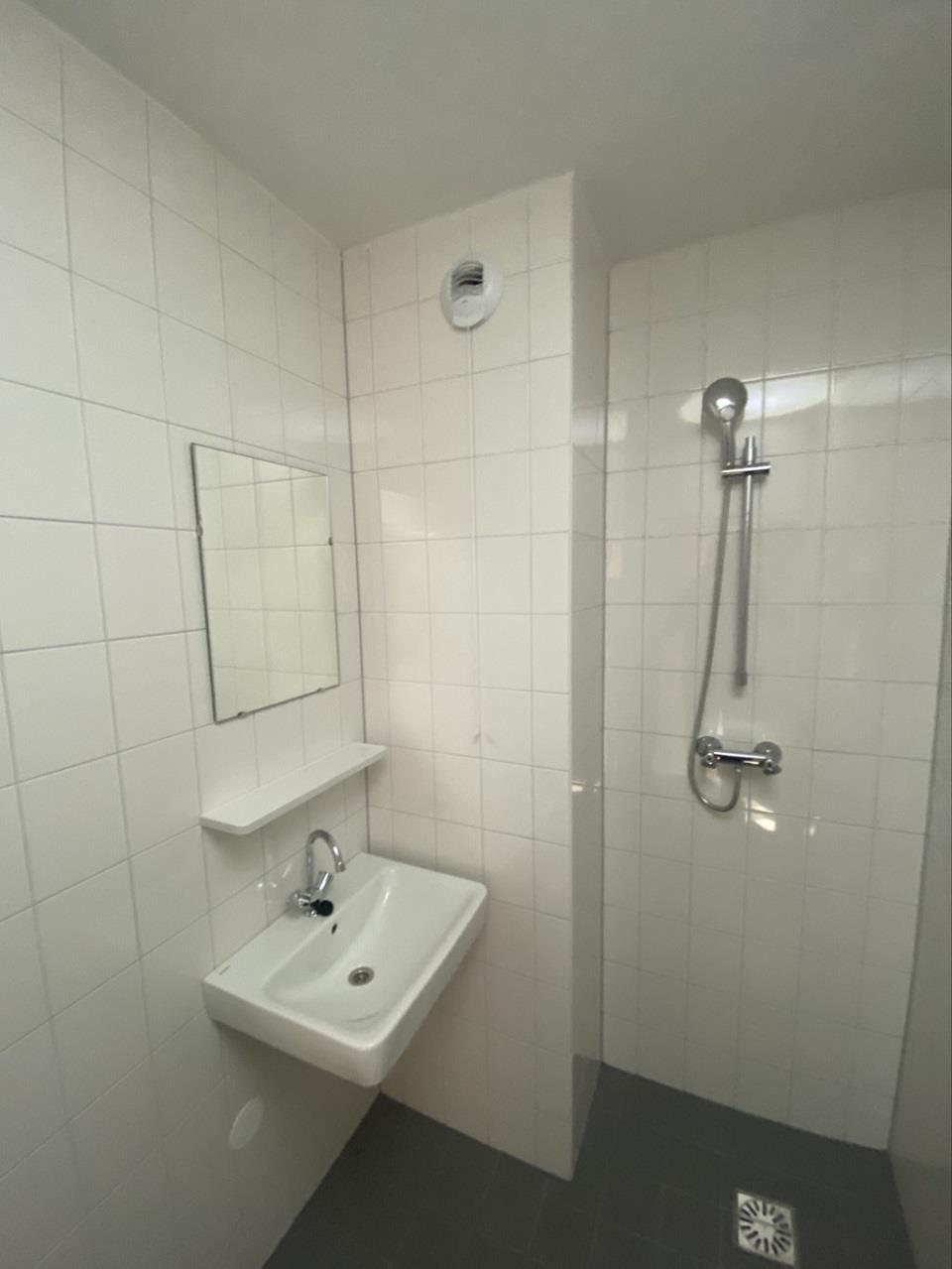 Meijhorst 3034