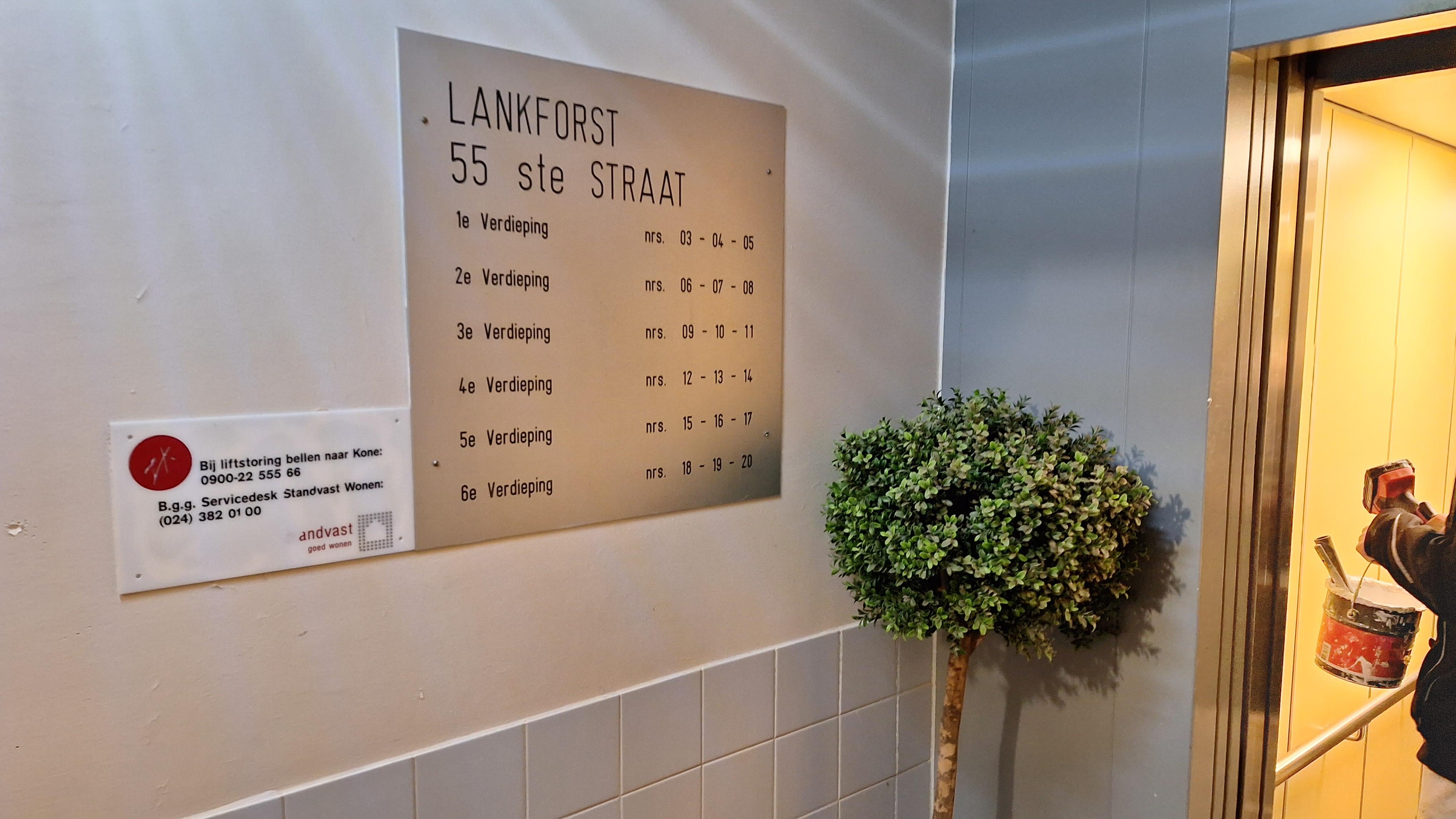 Lankforst 5515