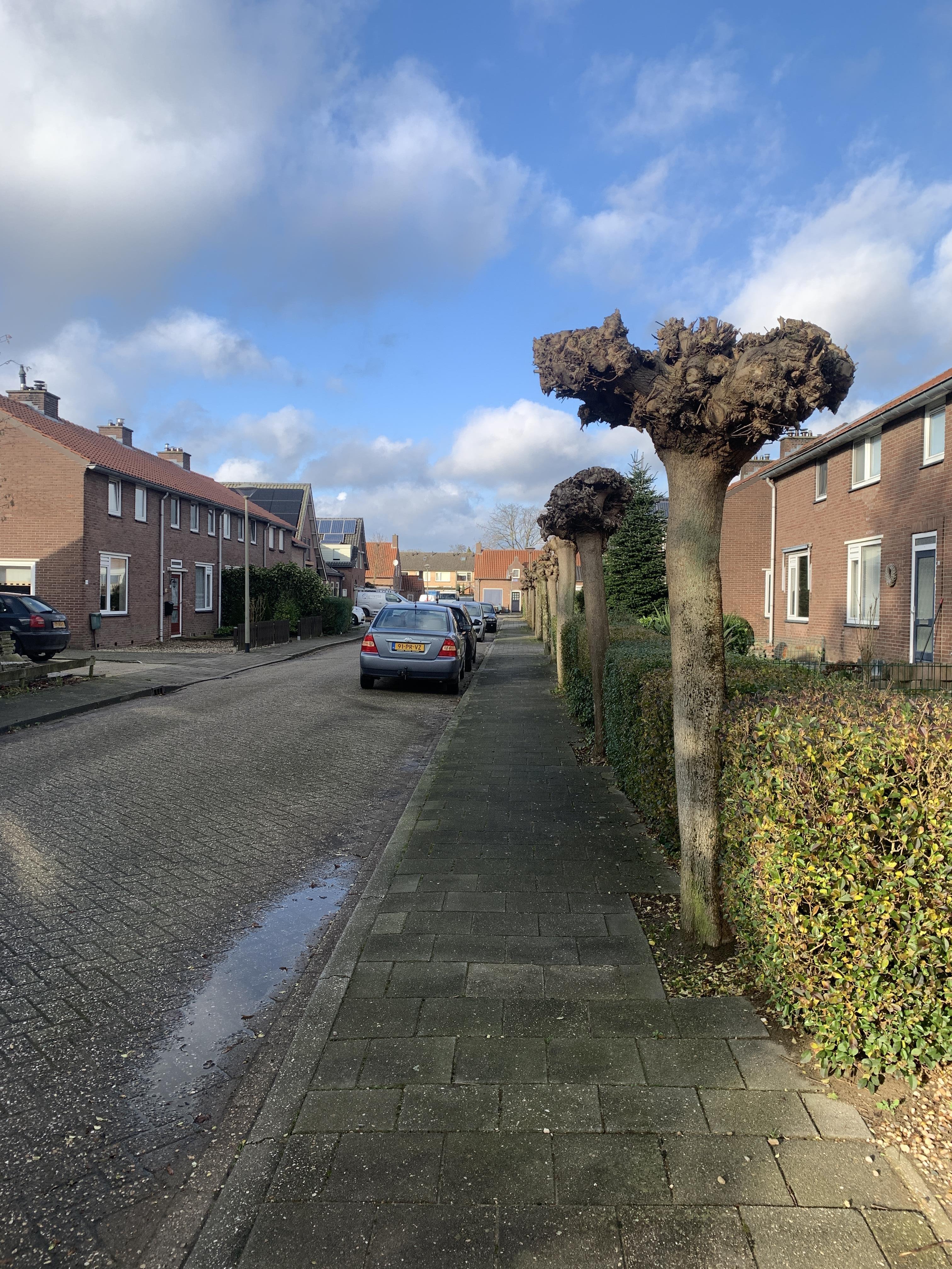 Burgemeester Reijmersstraat 15