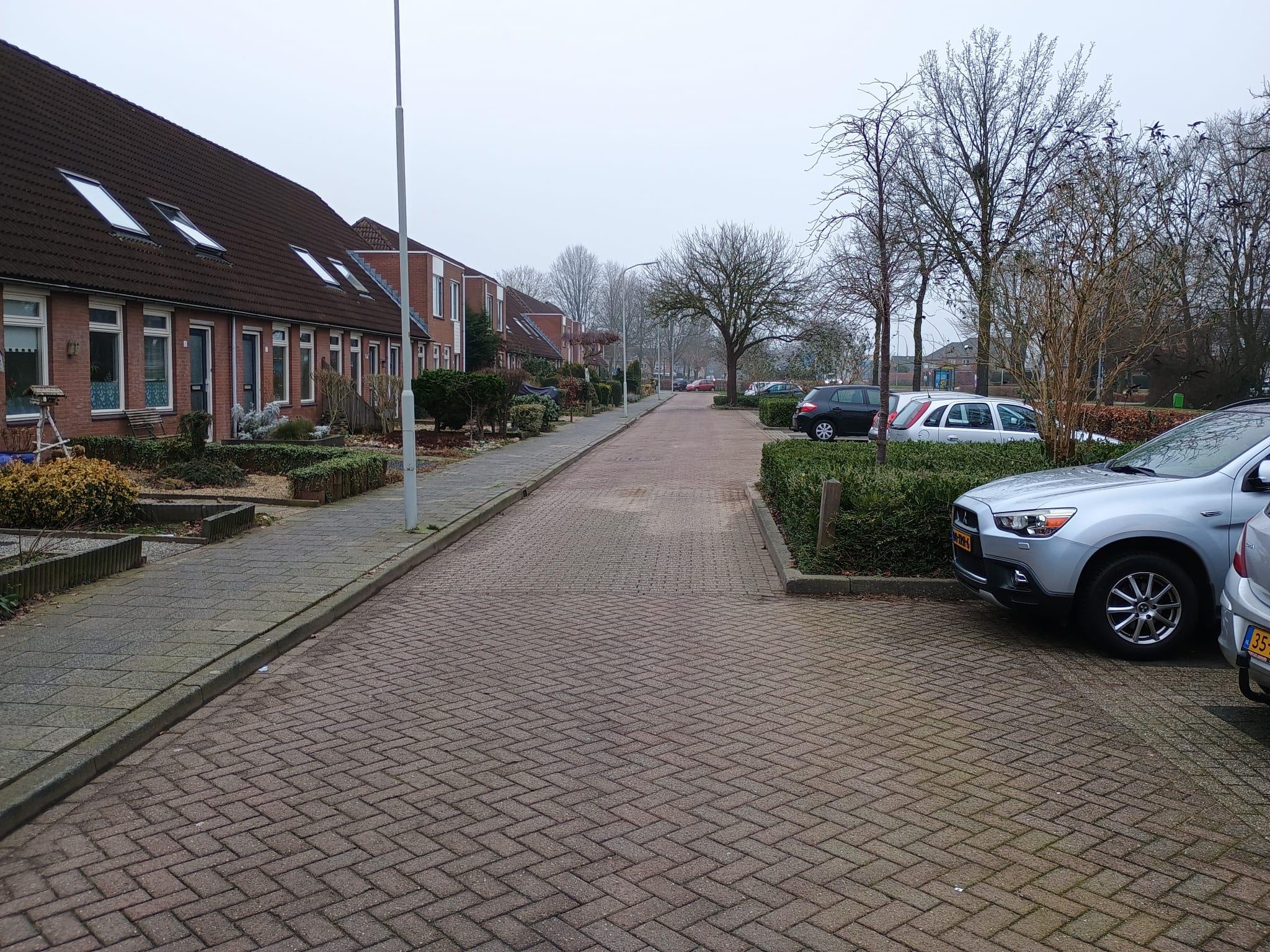 Van Ostadestraat 13
