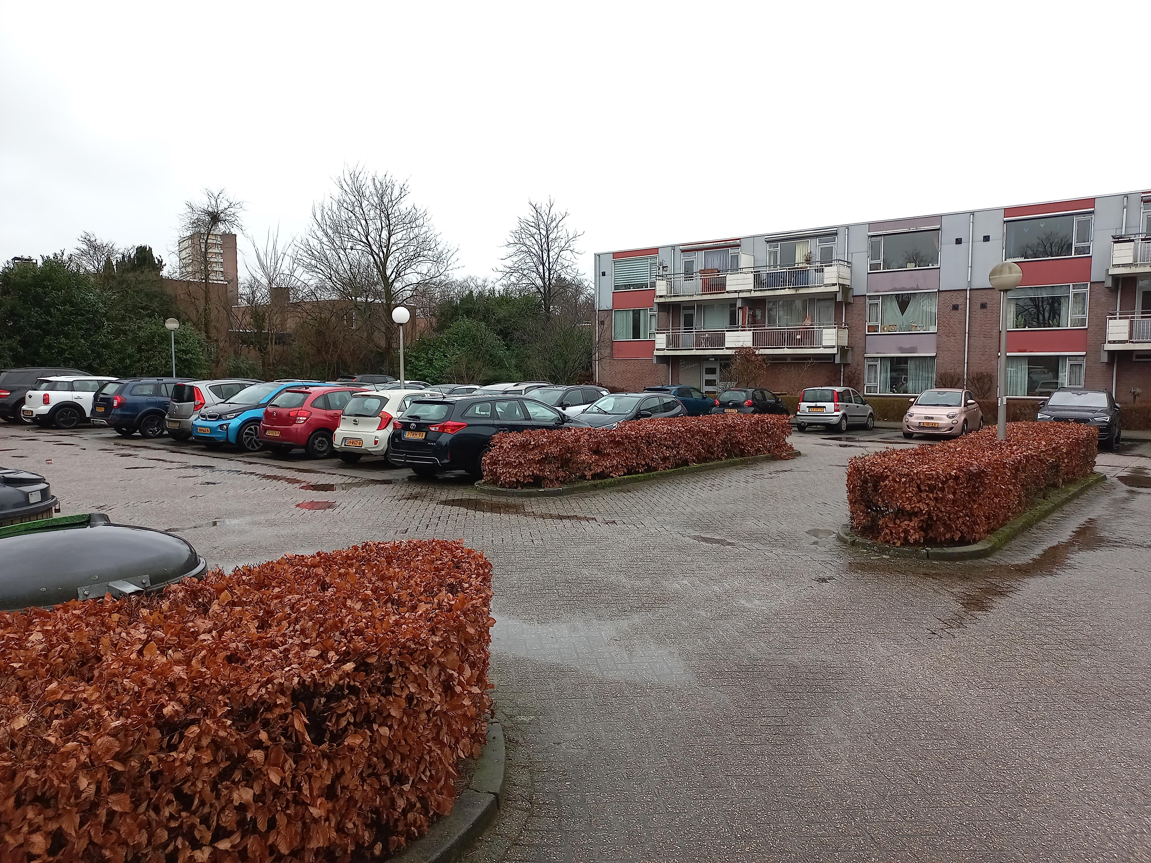 Professor Cornelissenstraat 258