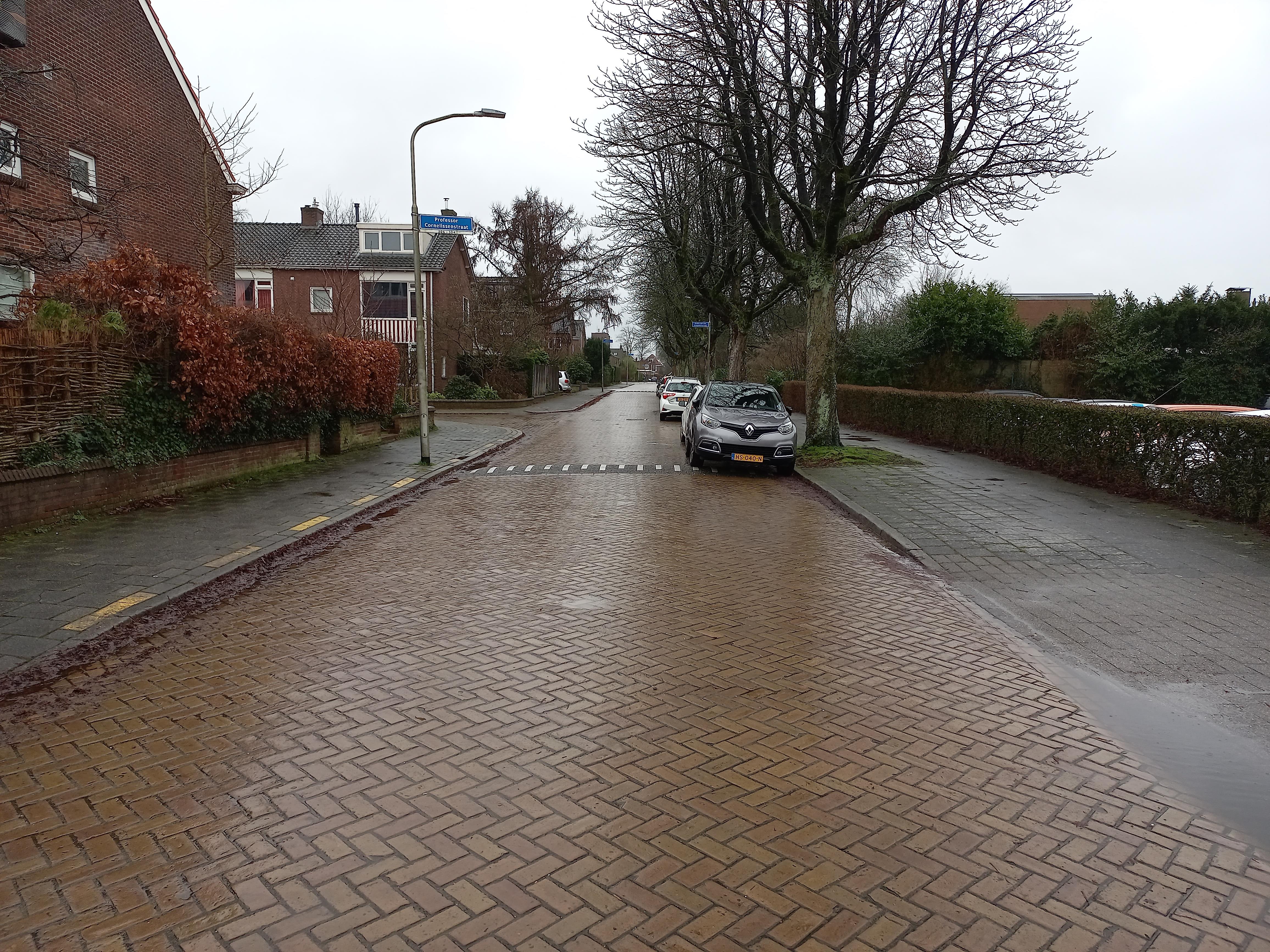 Professor Cornelissenstraat 258