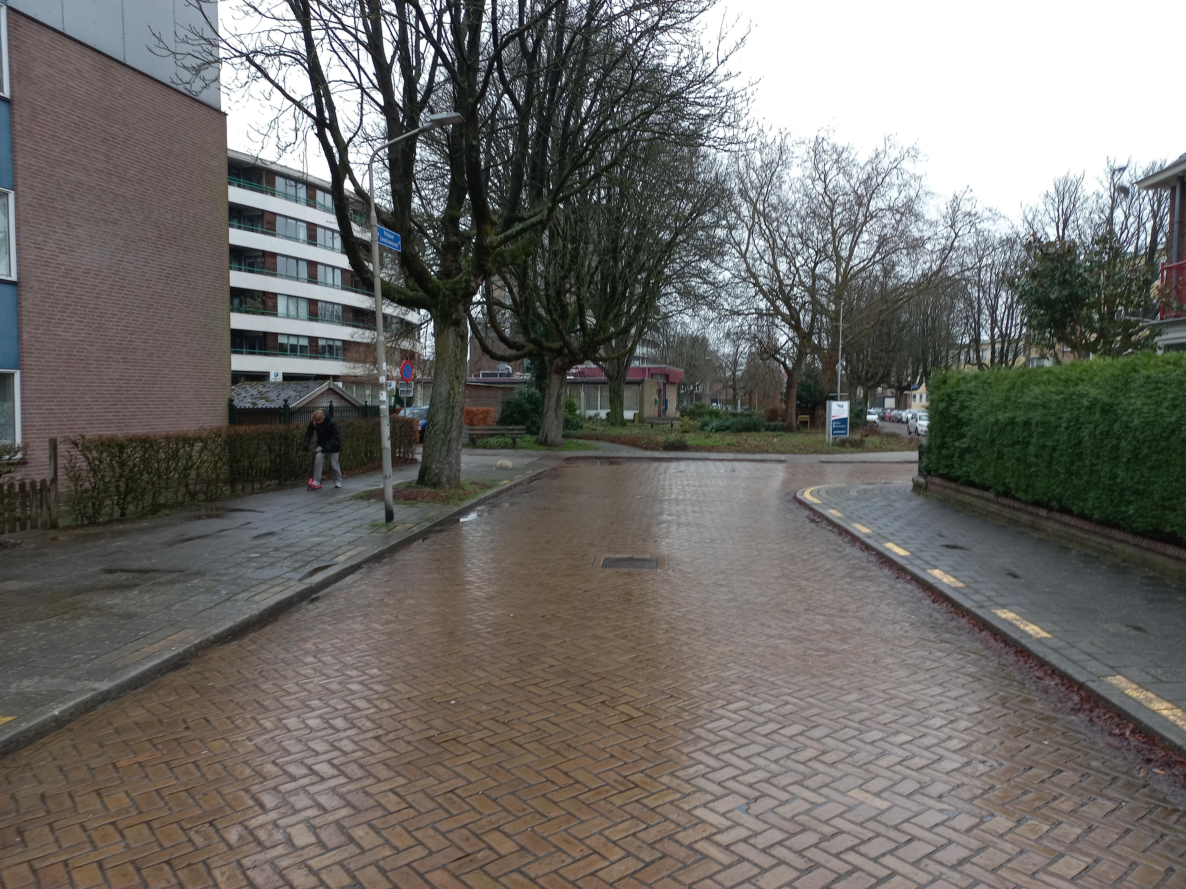 Professor Cornelissenstraat 258