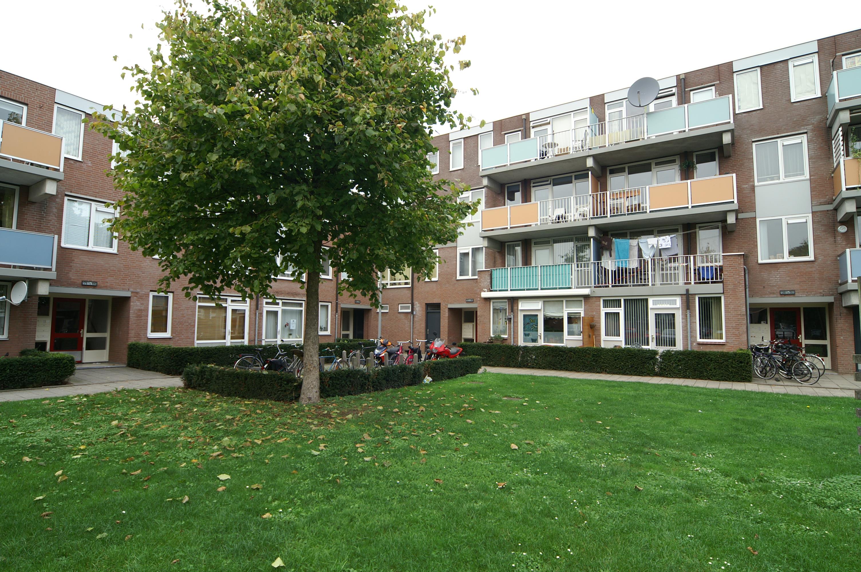 Bergvrede 158, 6901 NL Zevenaar, Nederland