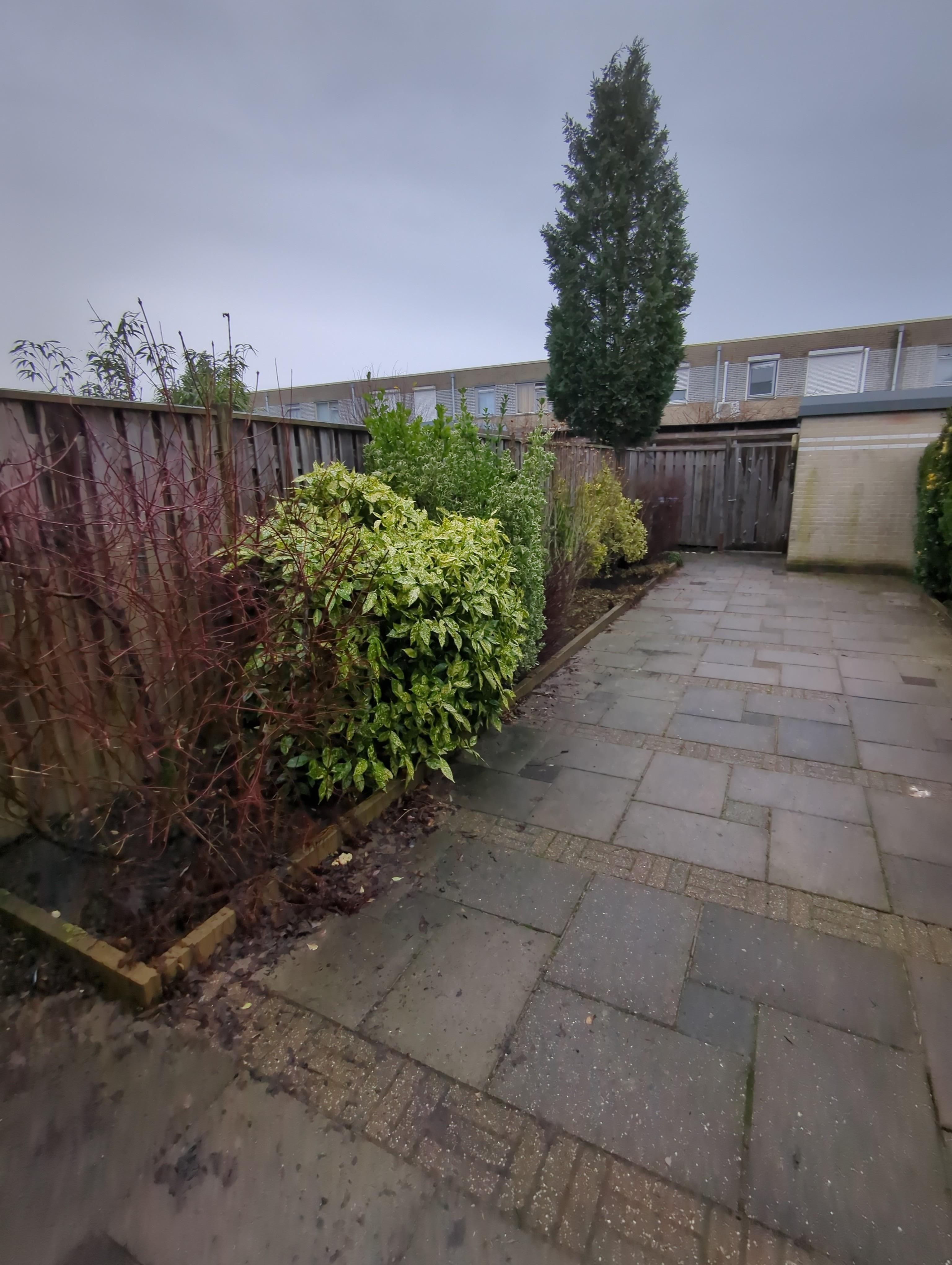 Marga Klompélaan 233