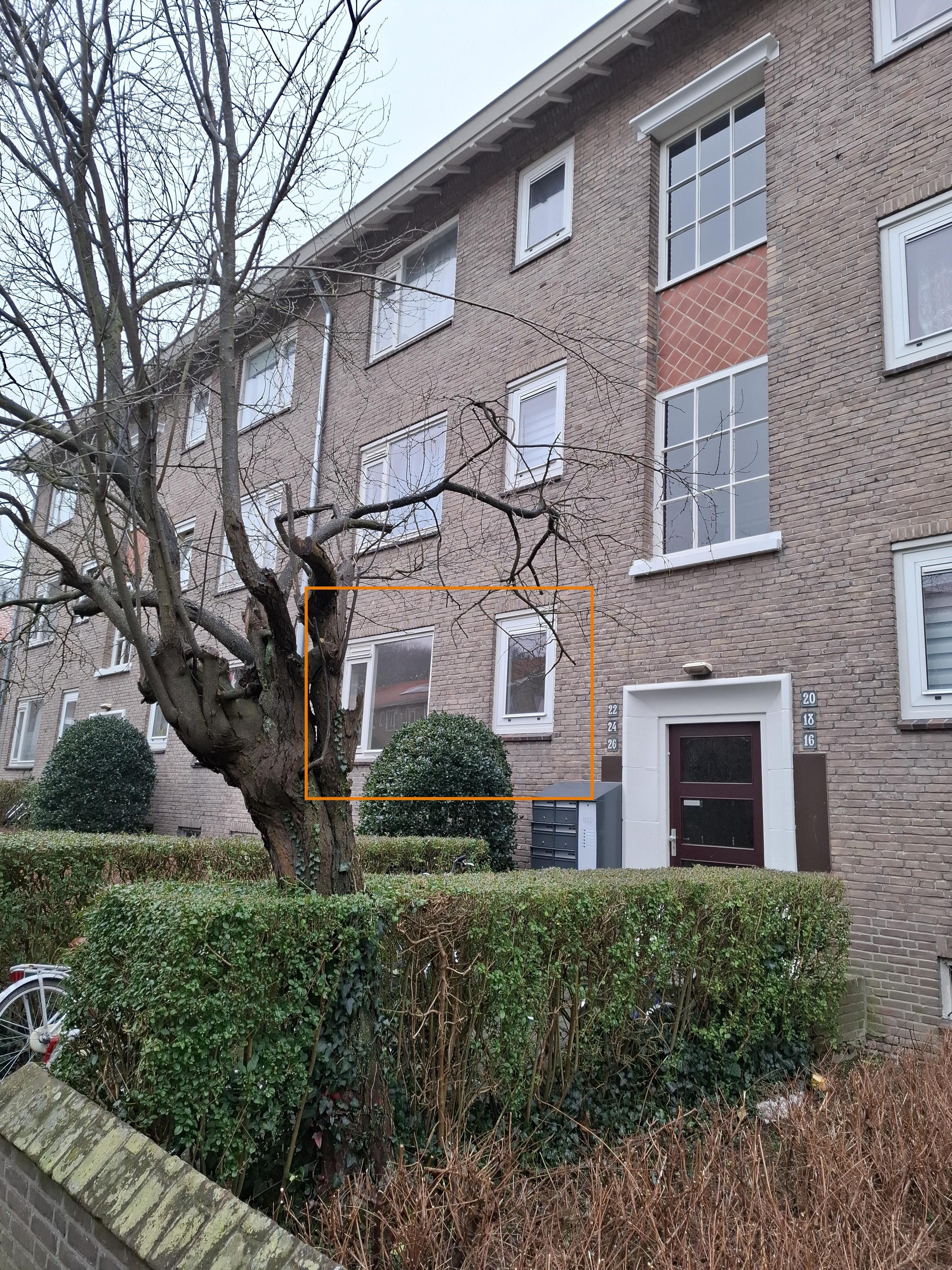Moerbeistraat 26