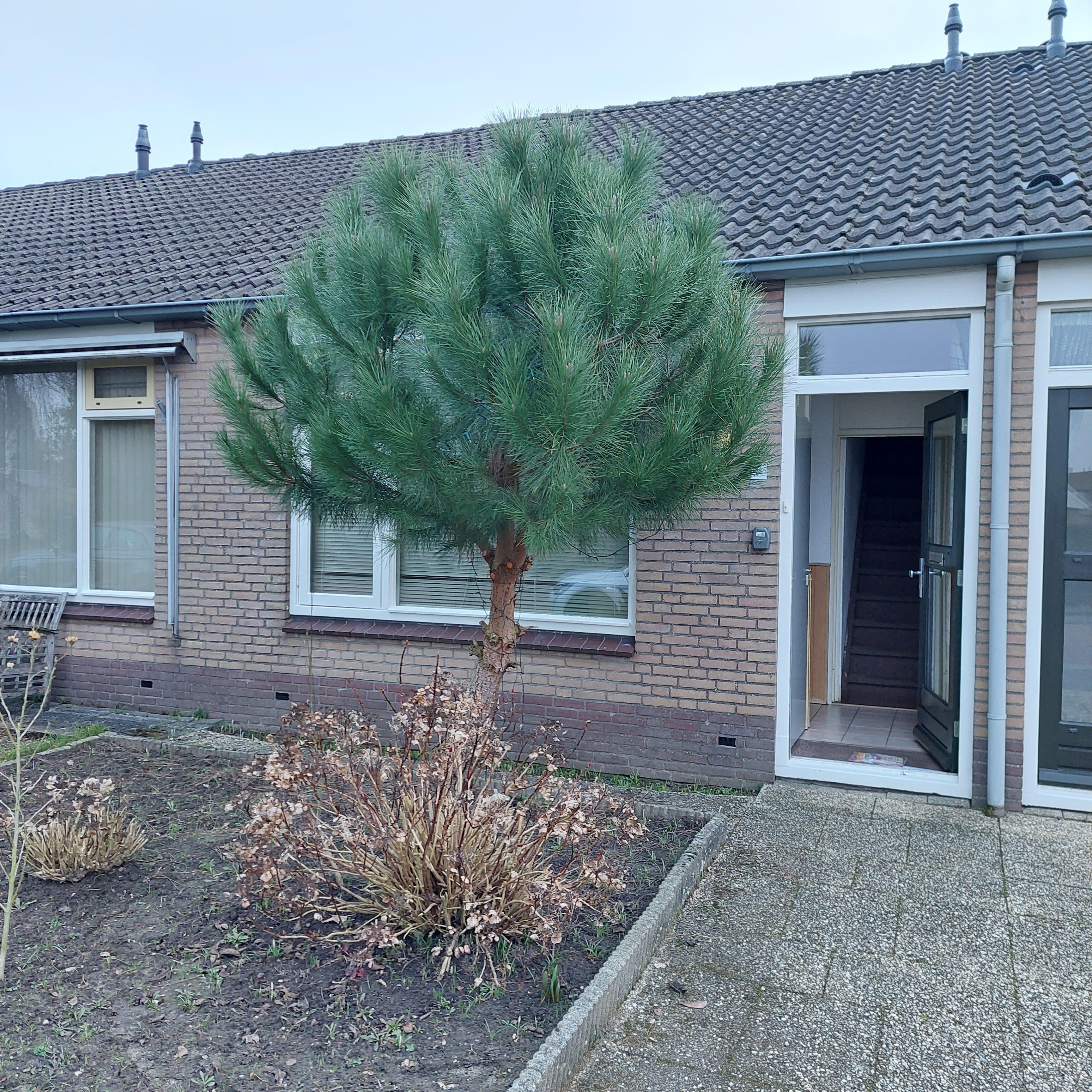 Bavoplein 9, 6687 AG Angeren, Nederland