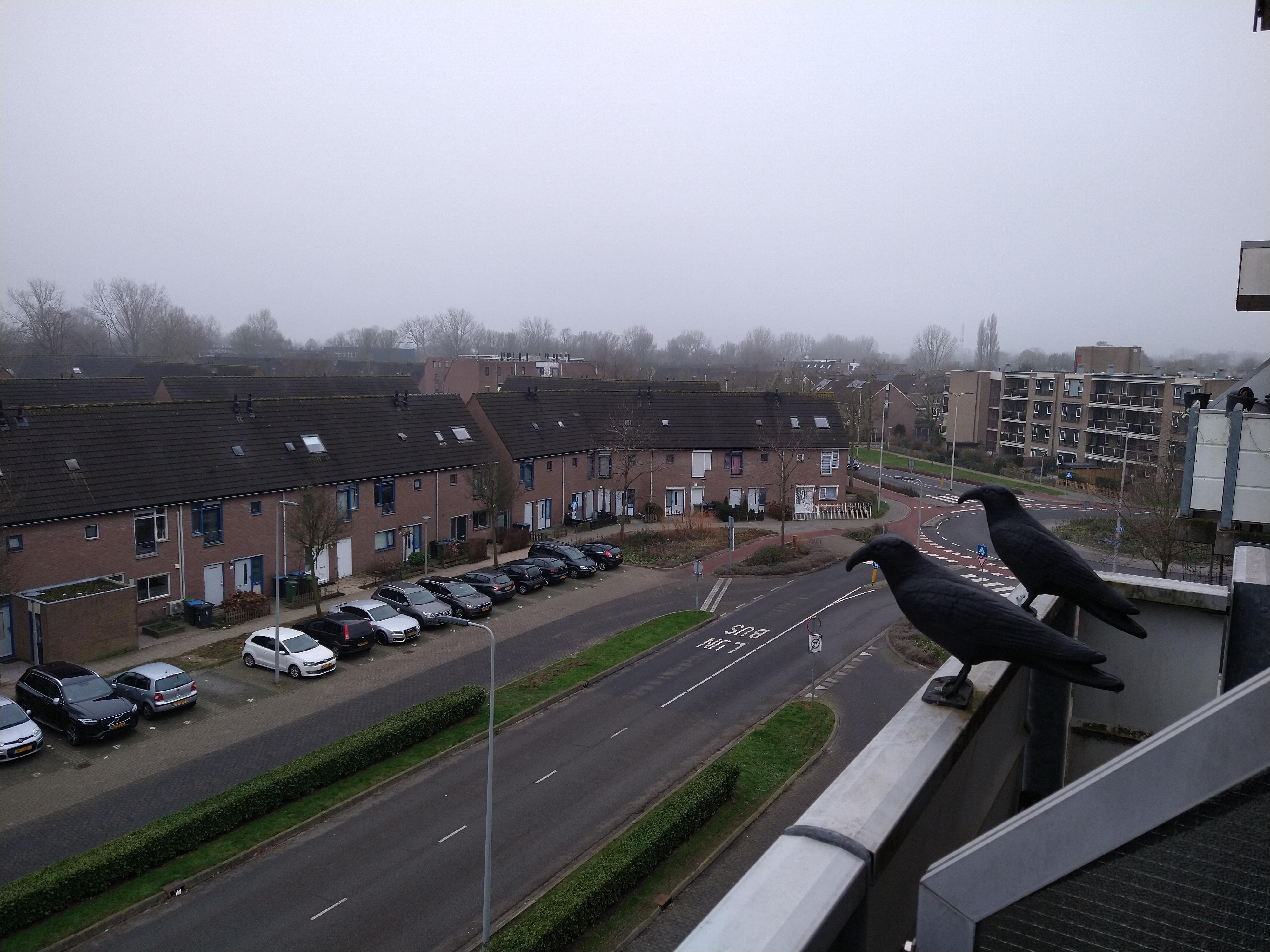 Schepen van Ommerenstraat 125