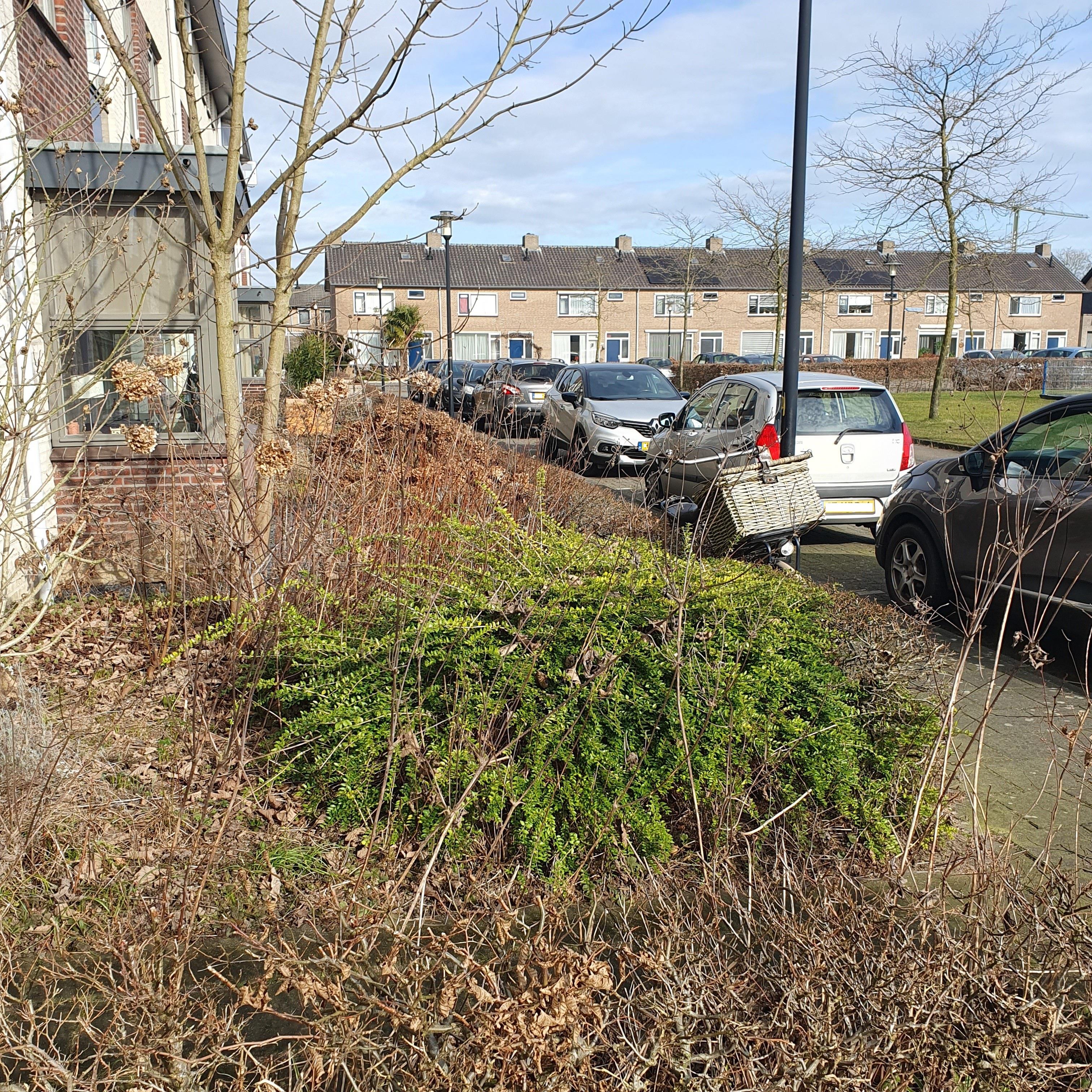 Landschrijverstraat 21