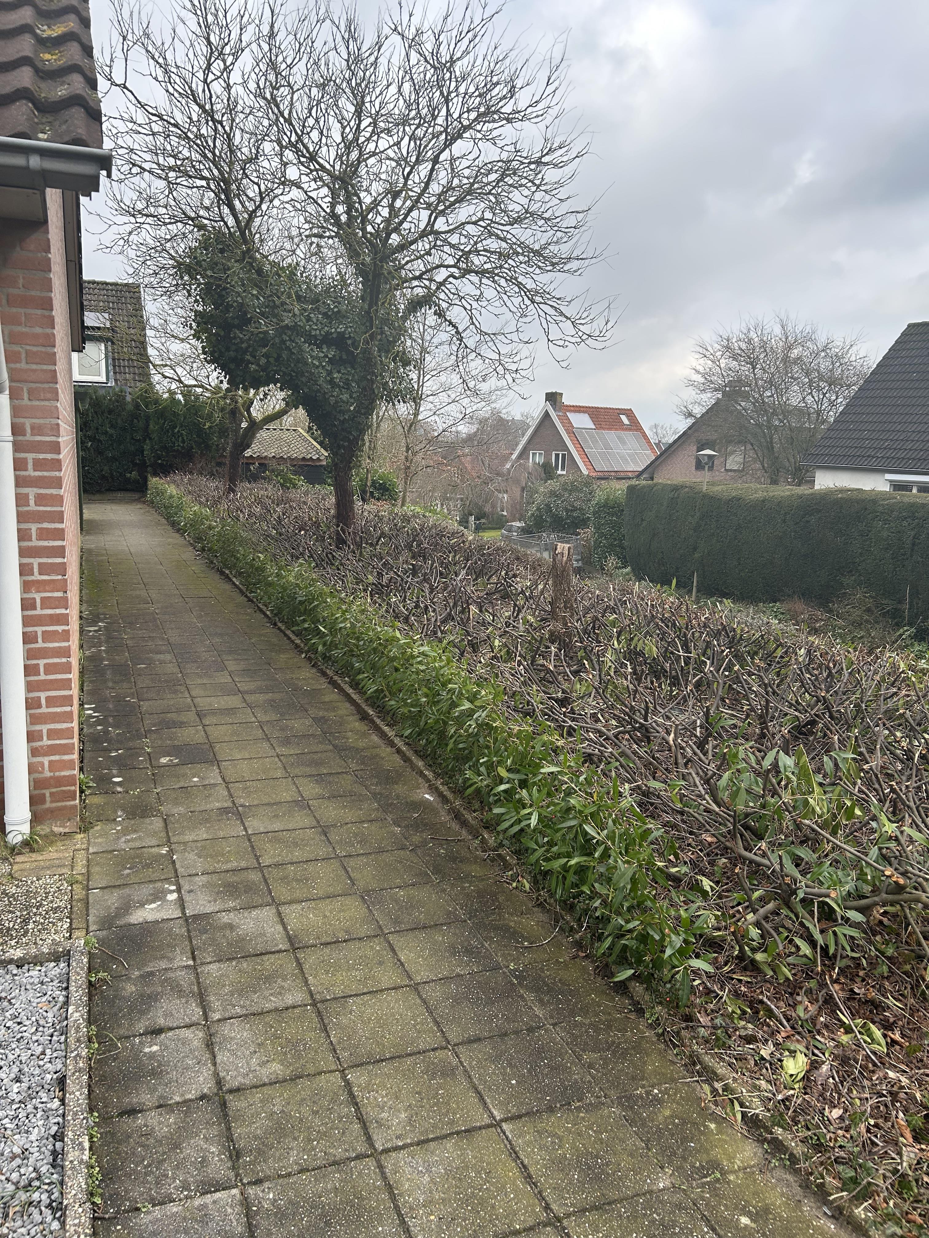 Litsenhof 11