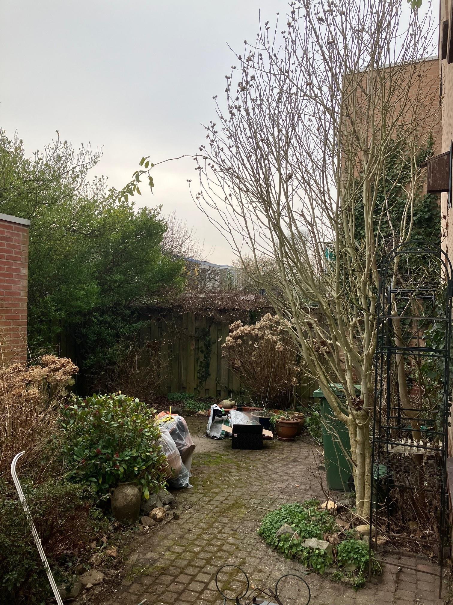 Witte de Withstraat 40