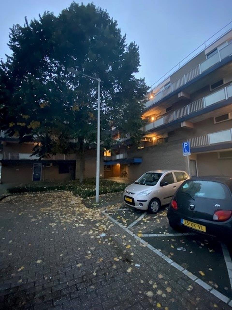 Kronenburgsingel 29, 6831 GD Arnhem, Nederland