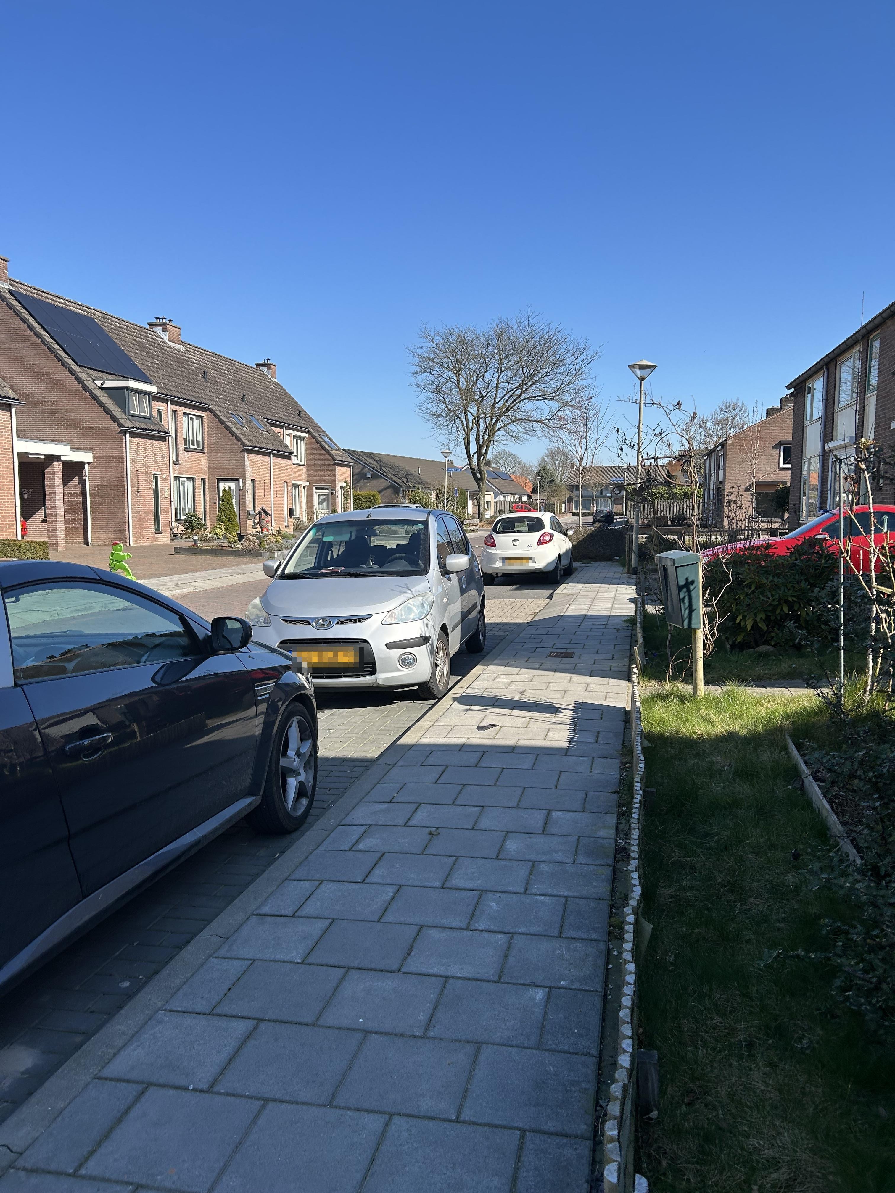 Dasstraat 21