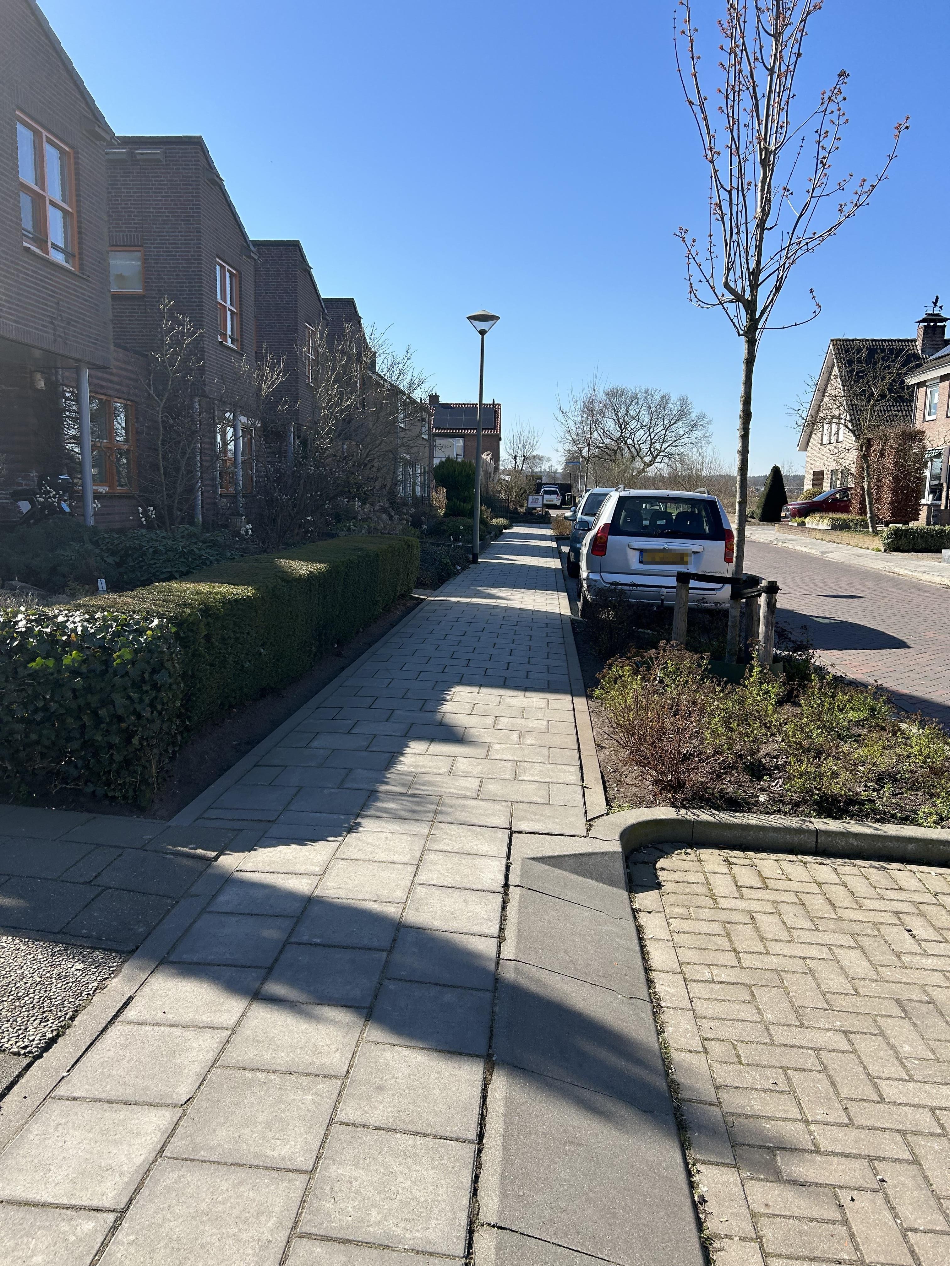 Dasstraat 21