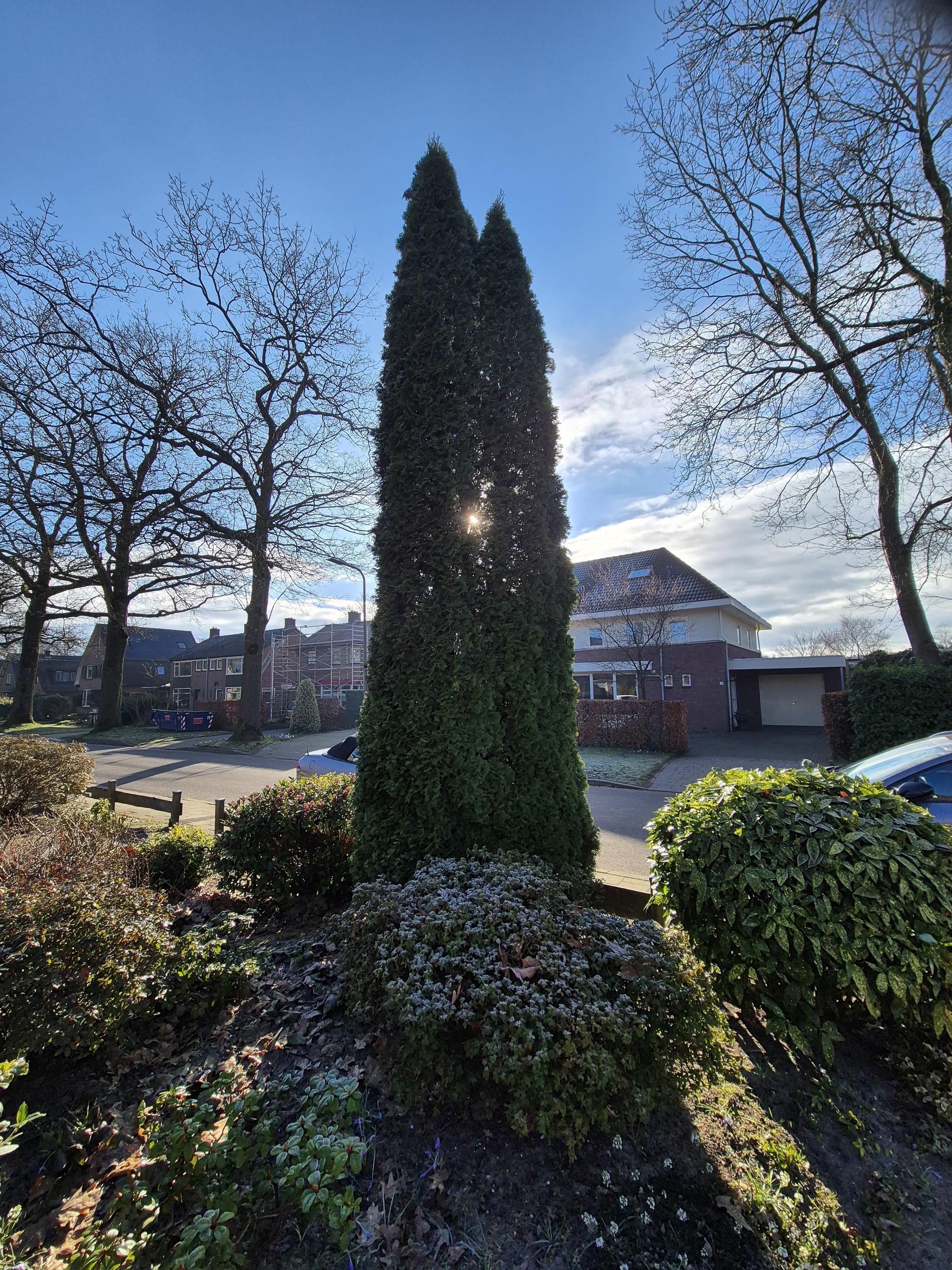 Professor Huetlaan 26