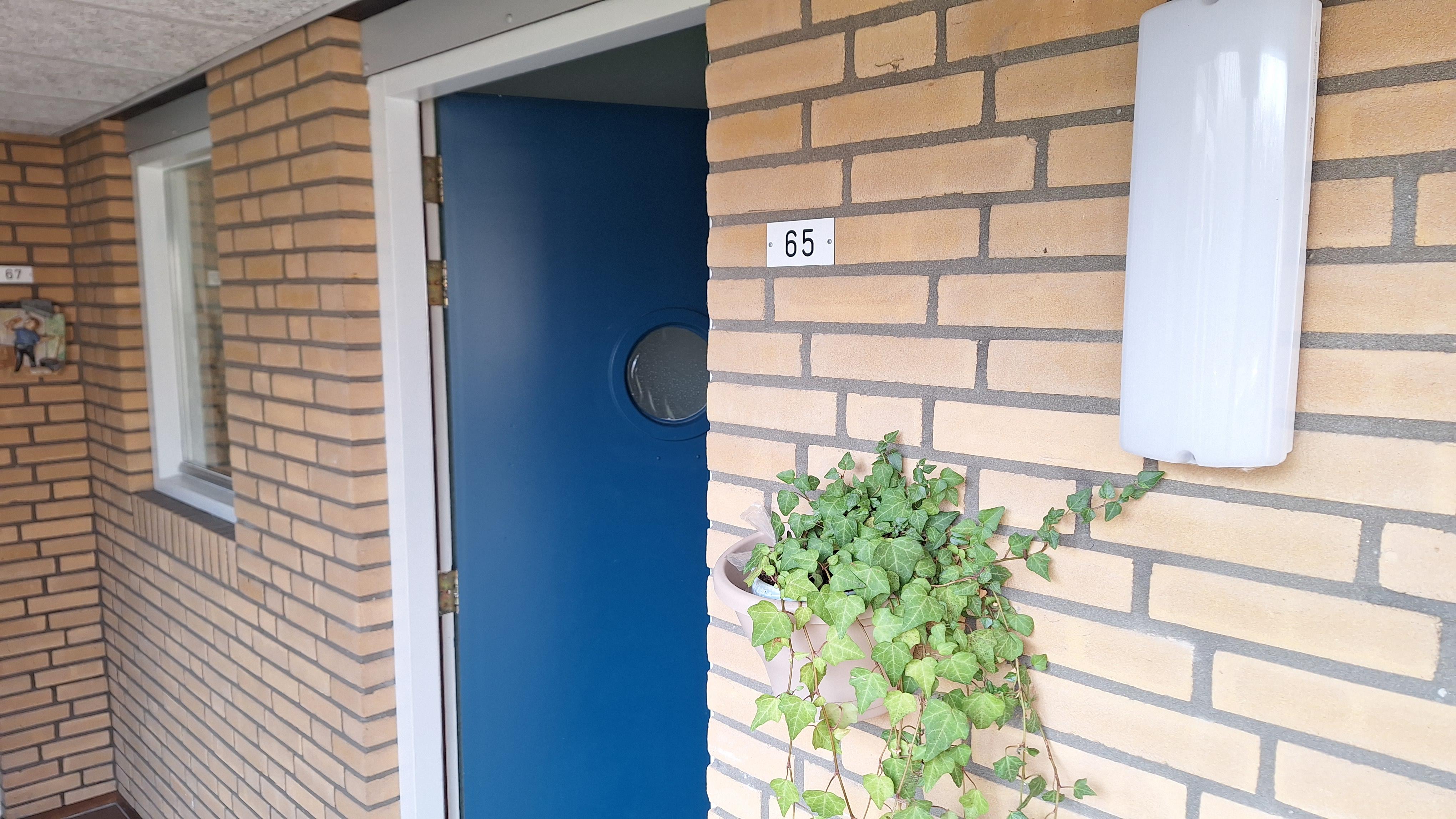 Van Het Hoffplantsoen 65