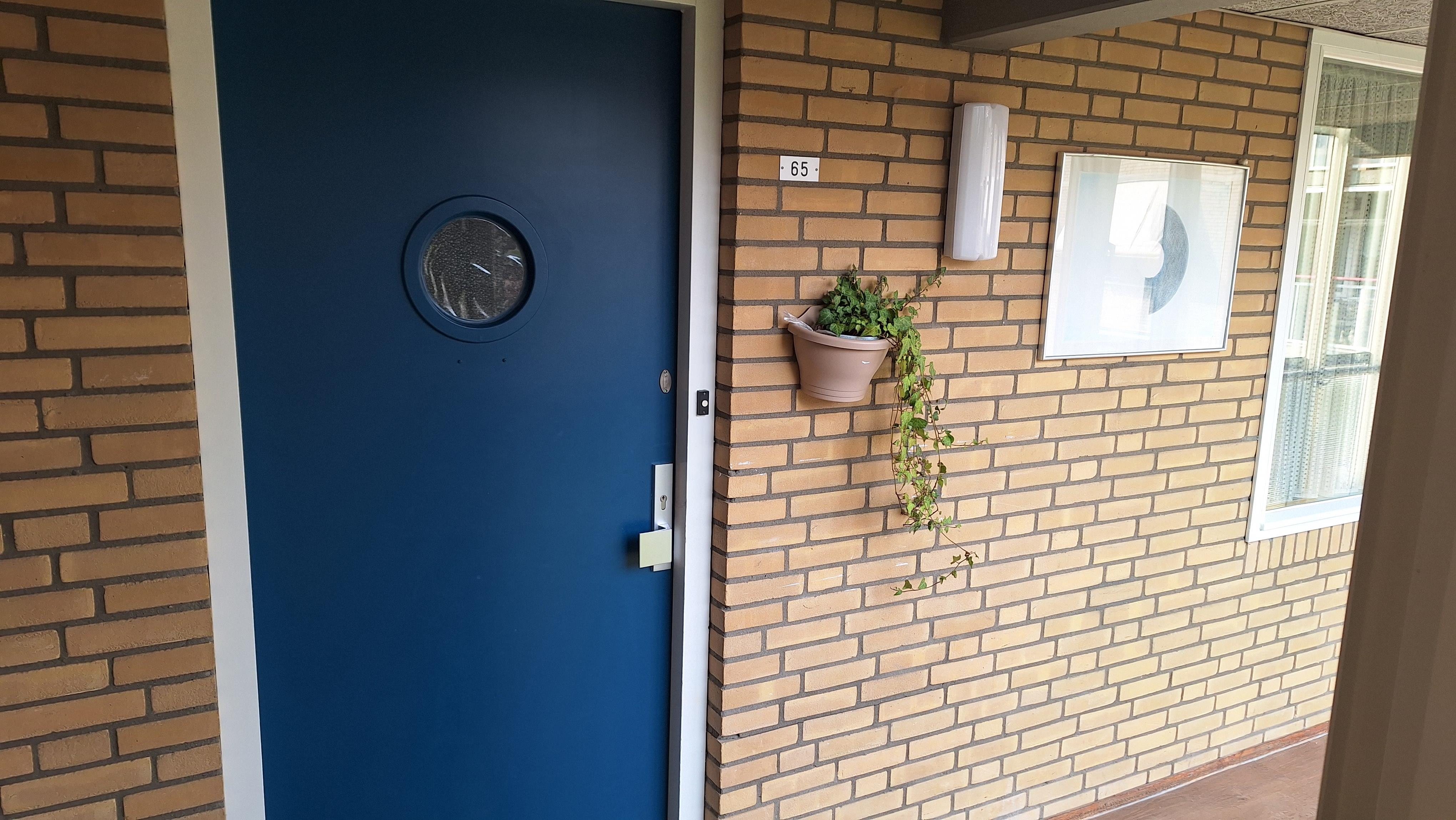 Van Het Hoffplantsoen 65