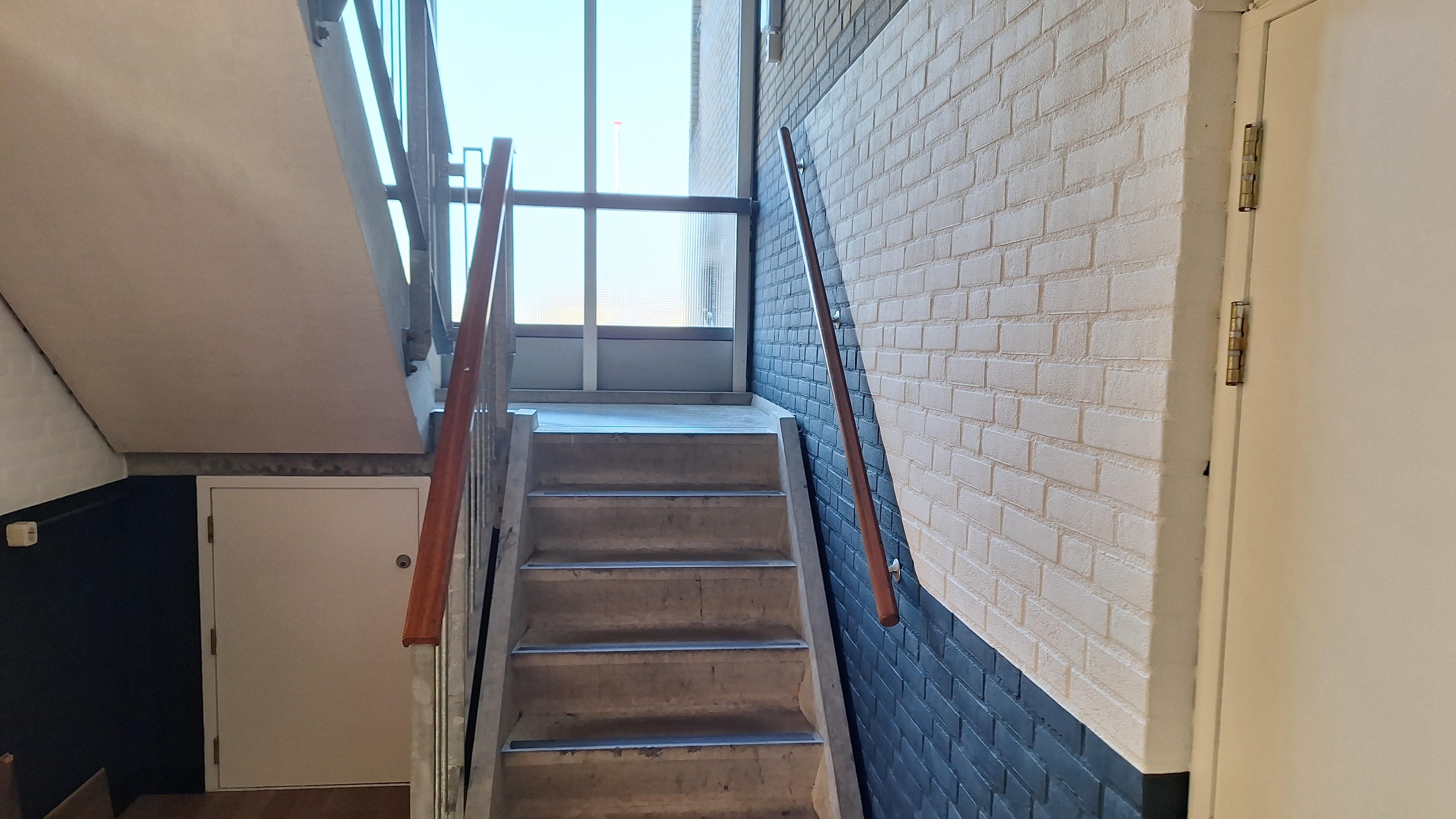 Van Het Hoffplantsoen 65