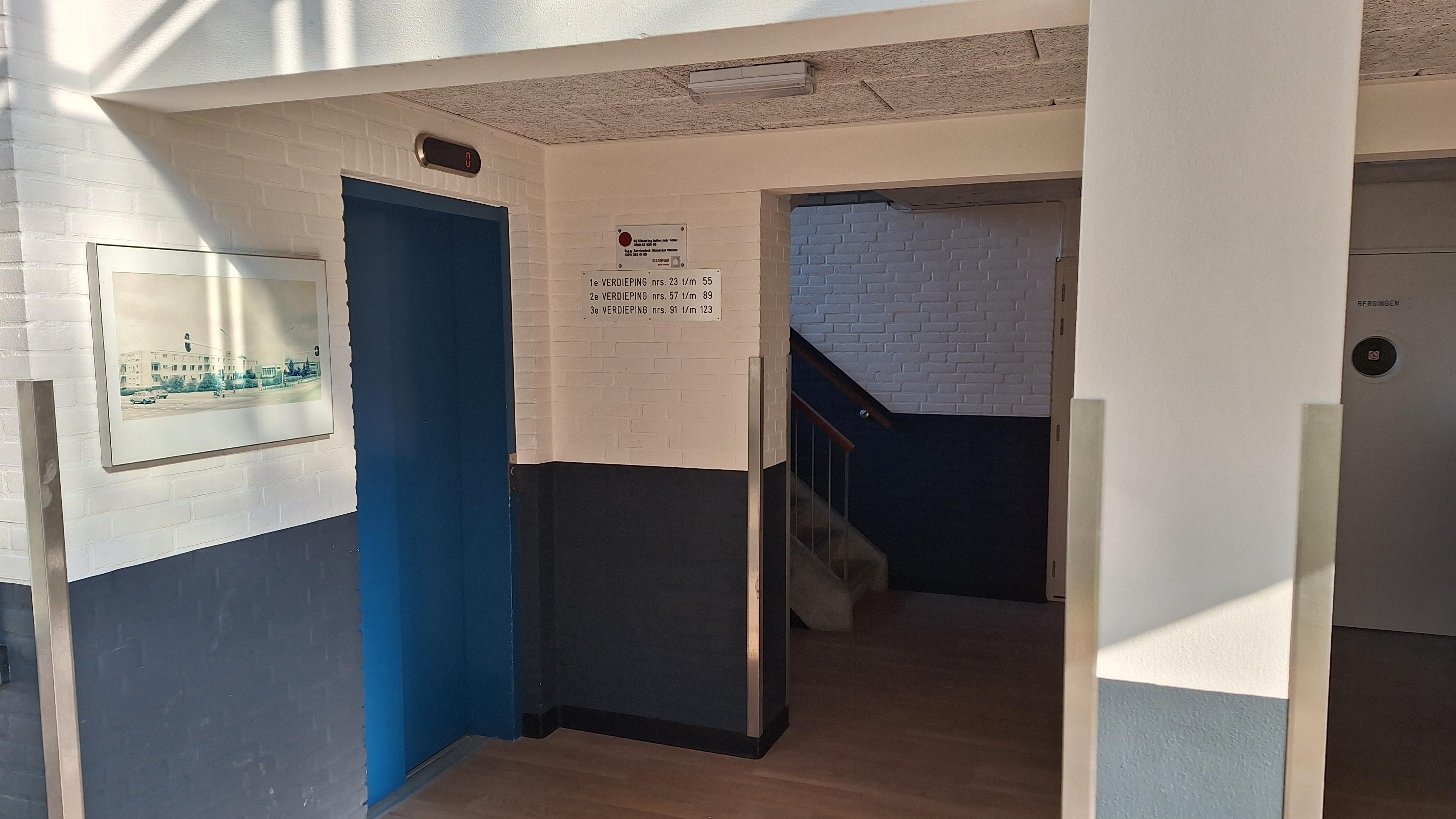 Van Het Hoffplantsoen 65