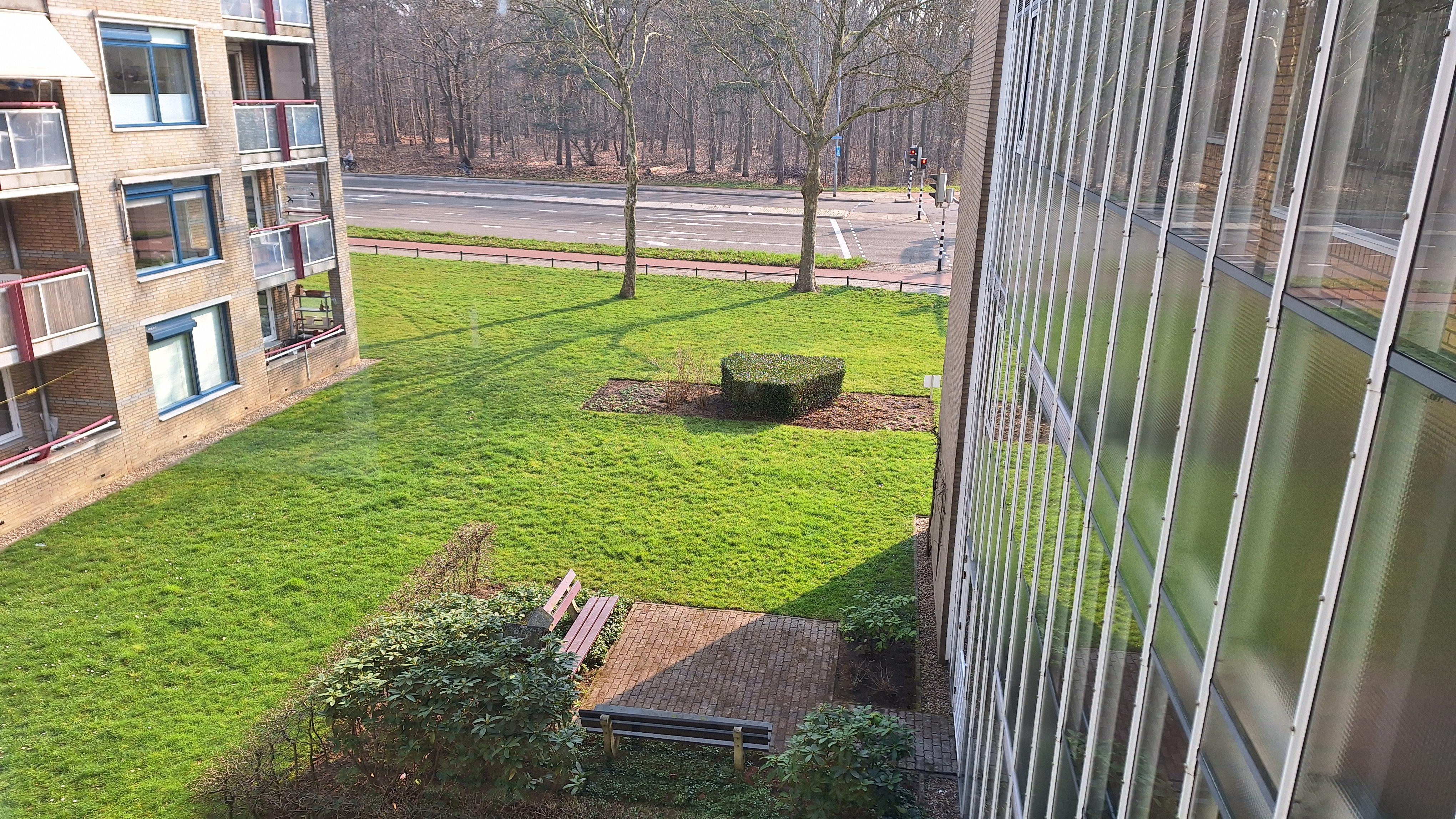 Van Het Hoffplantsoen 65