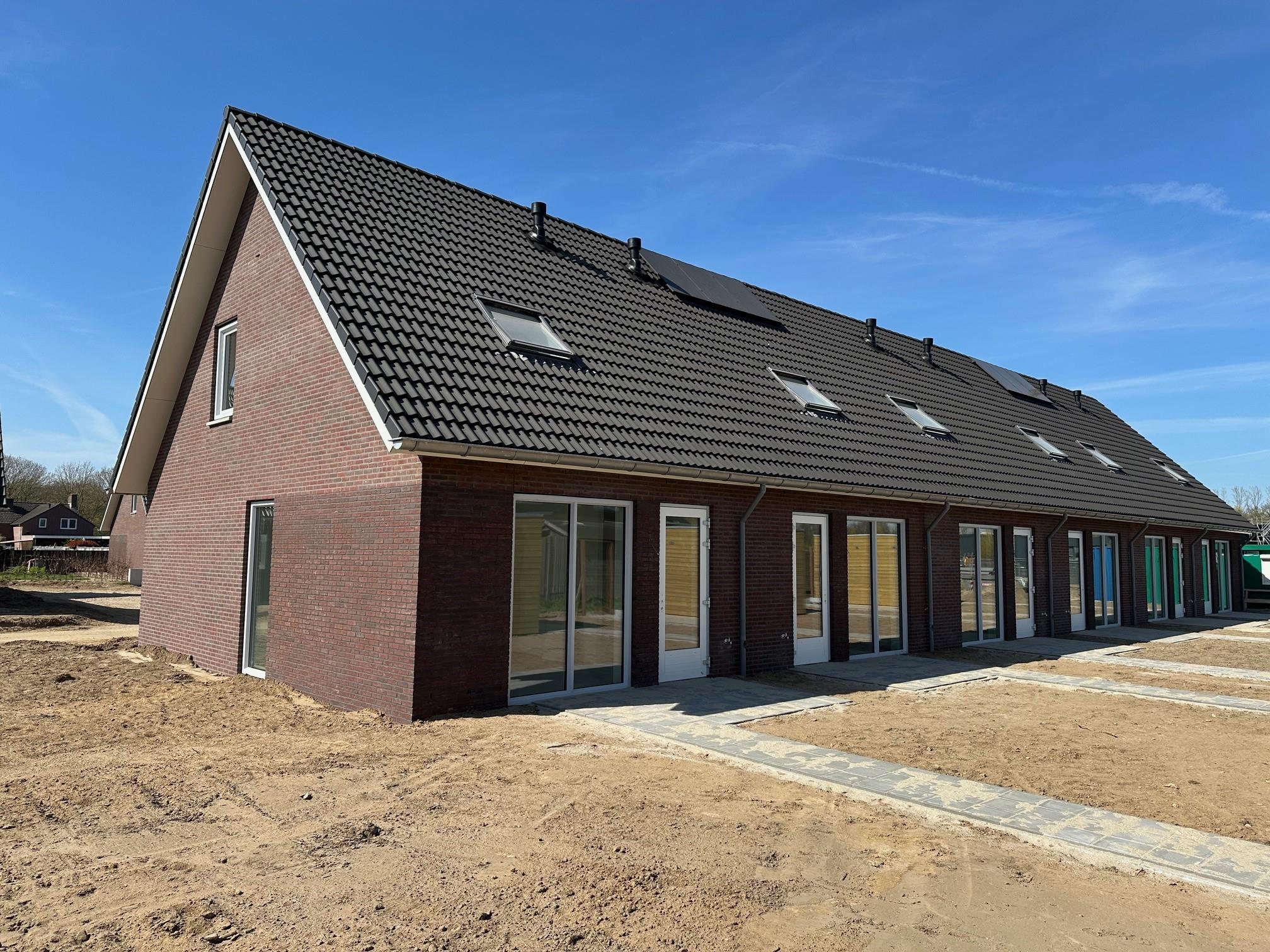 Dotterbloem 1