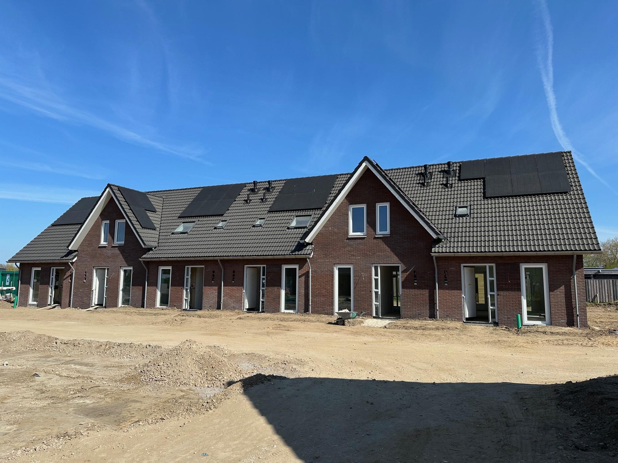 Dotterbloem , 6986 CS Angerlo, Nederland