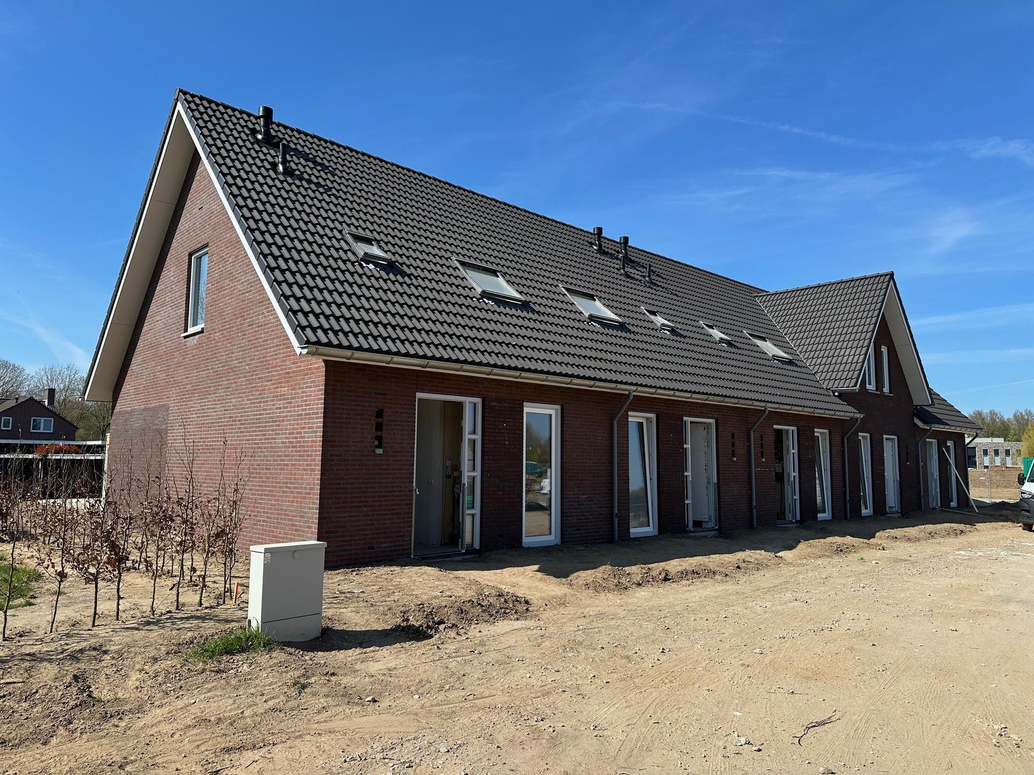 Dotterbloem 10