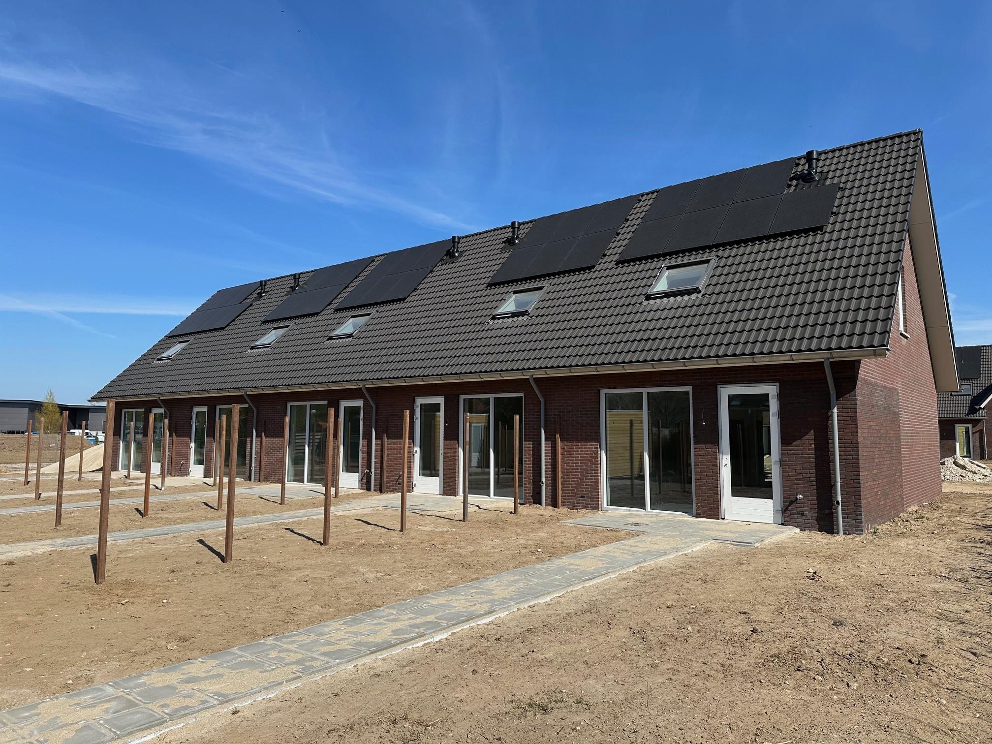 Dotterbloem 12