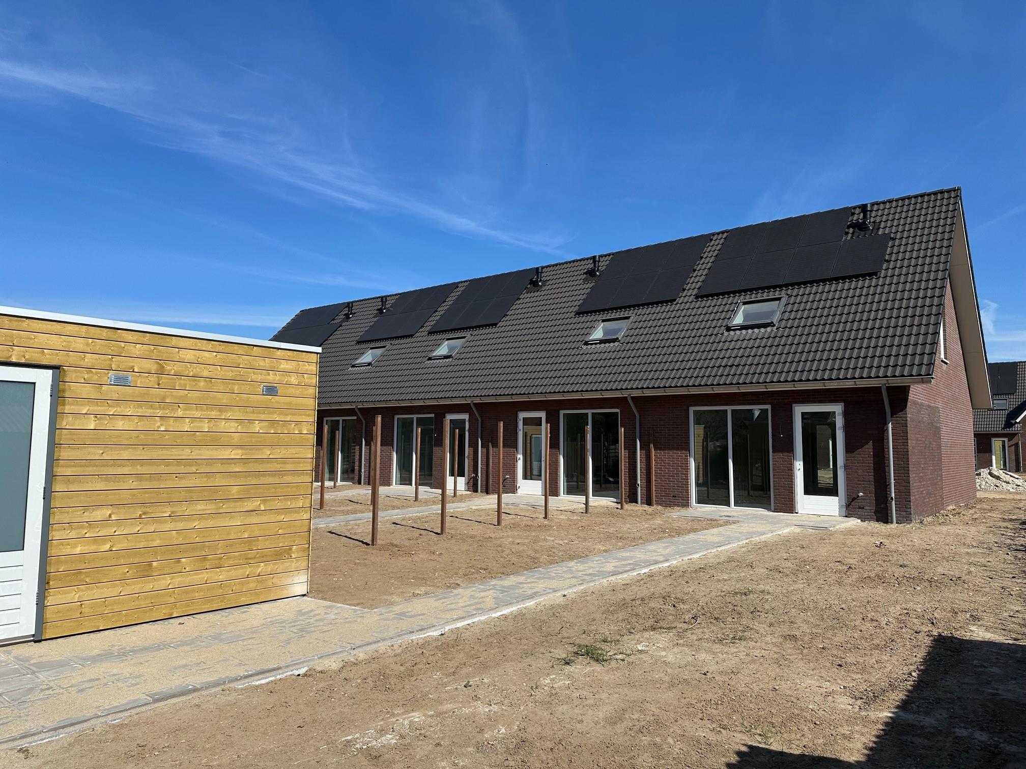 Dotterbloem 16