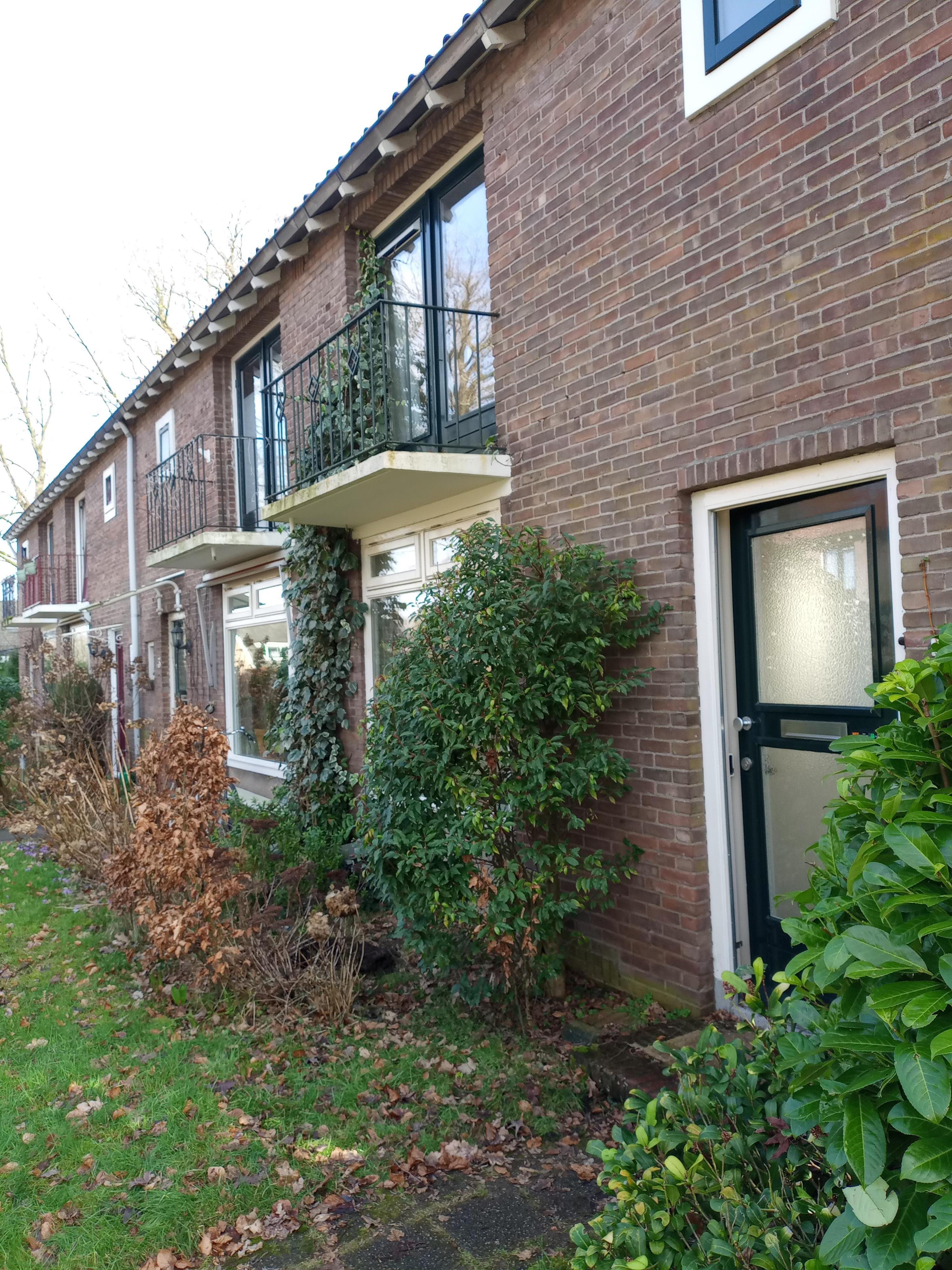 A.M. van Steenislaan 1