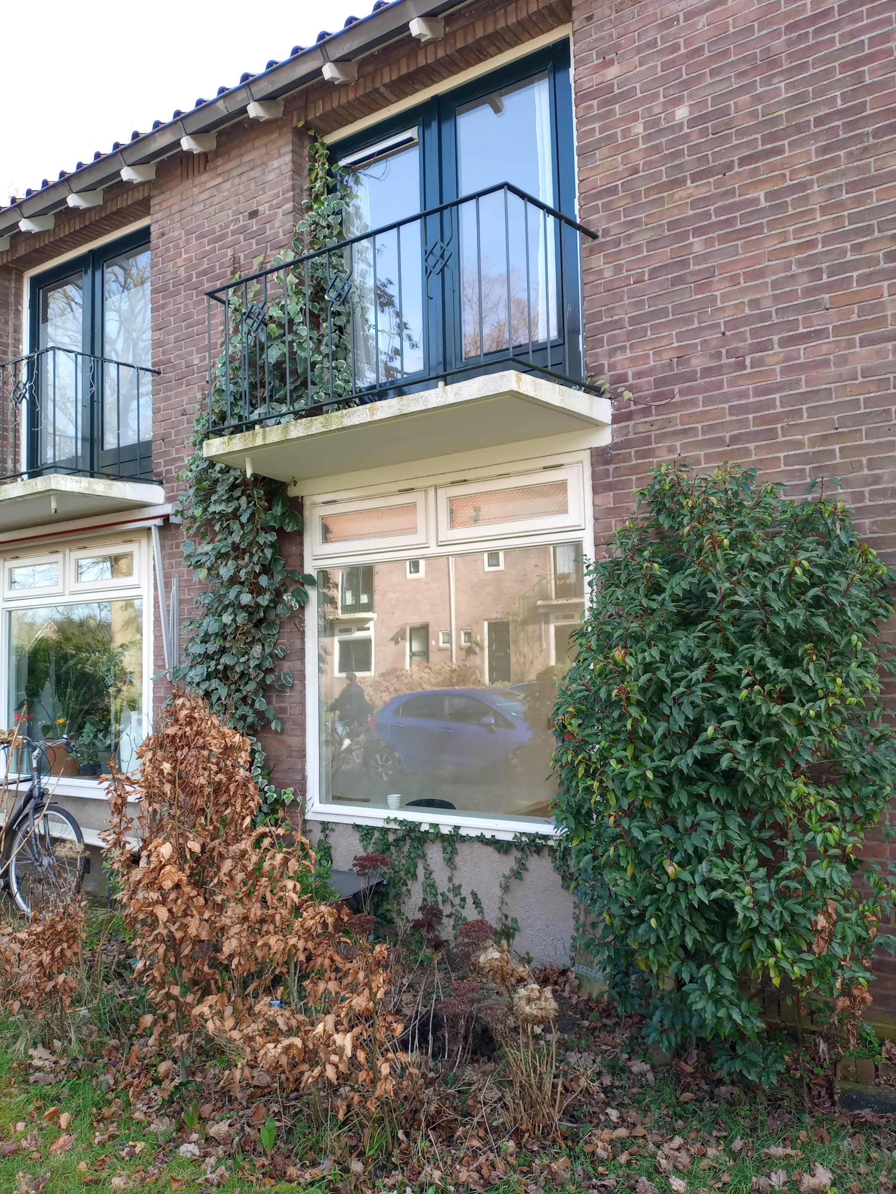 A.M. van Steenislaan 1