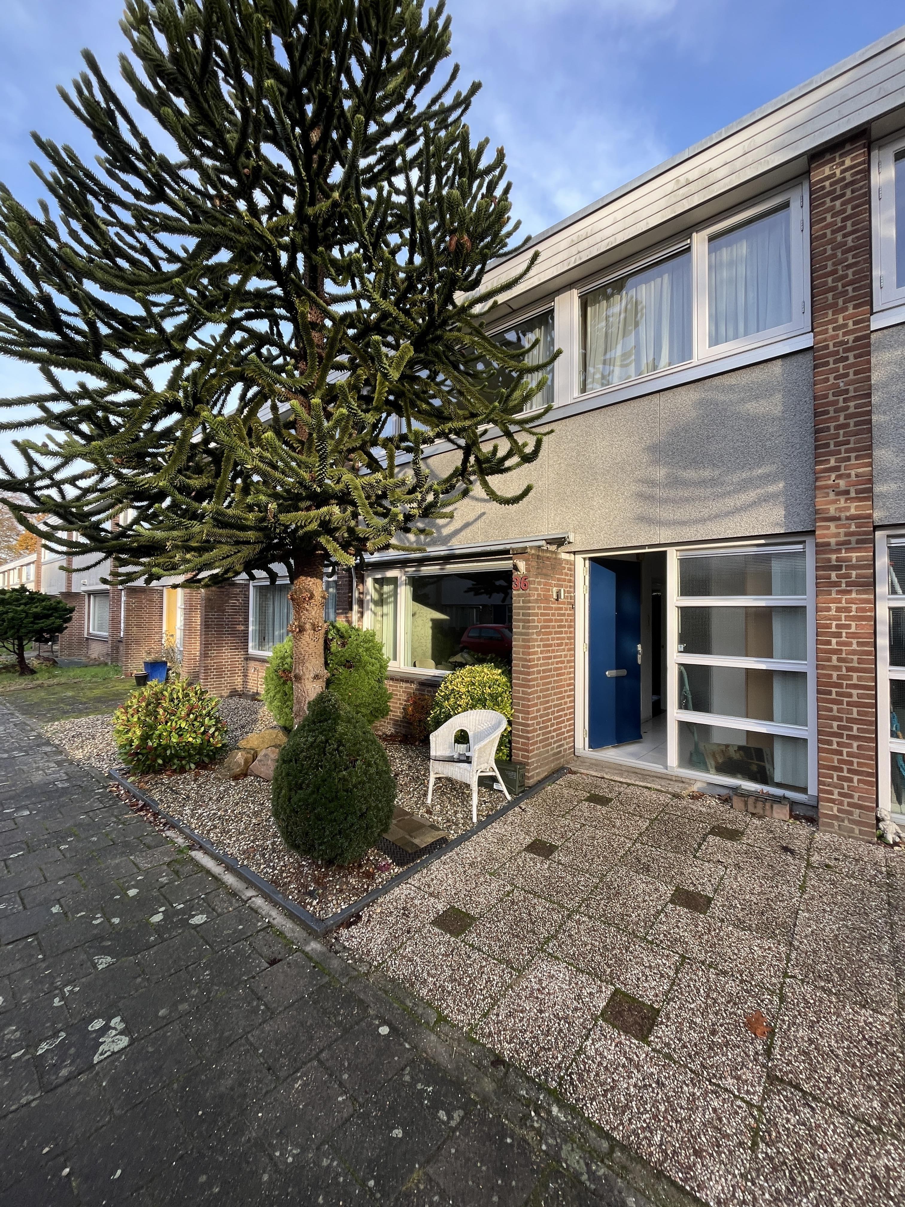 De Reaumurstraat 36