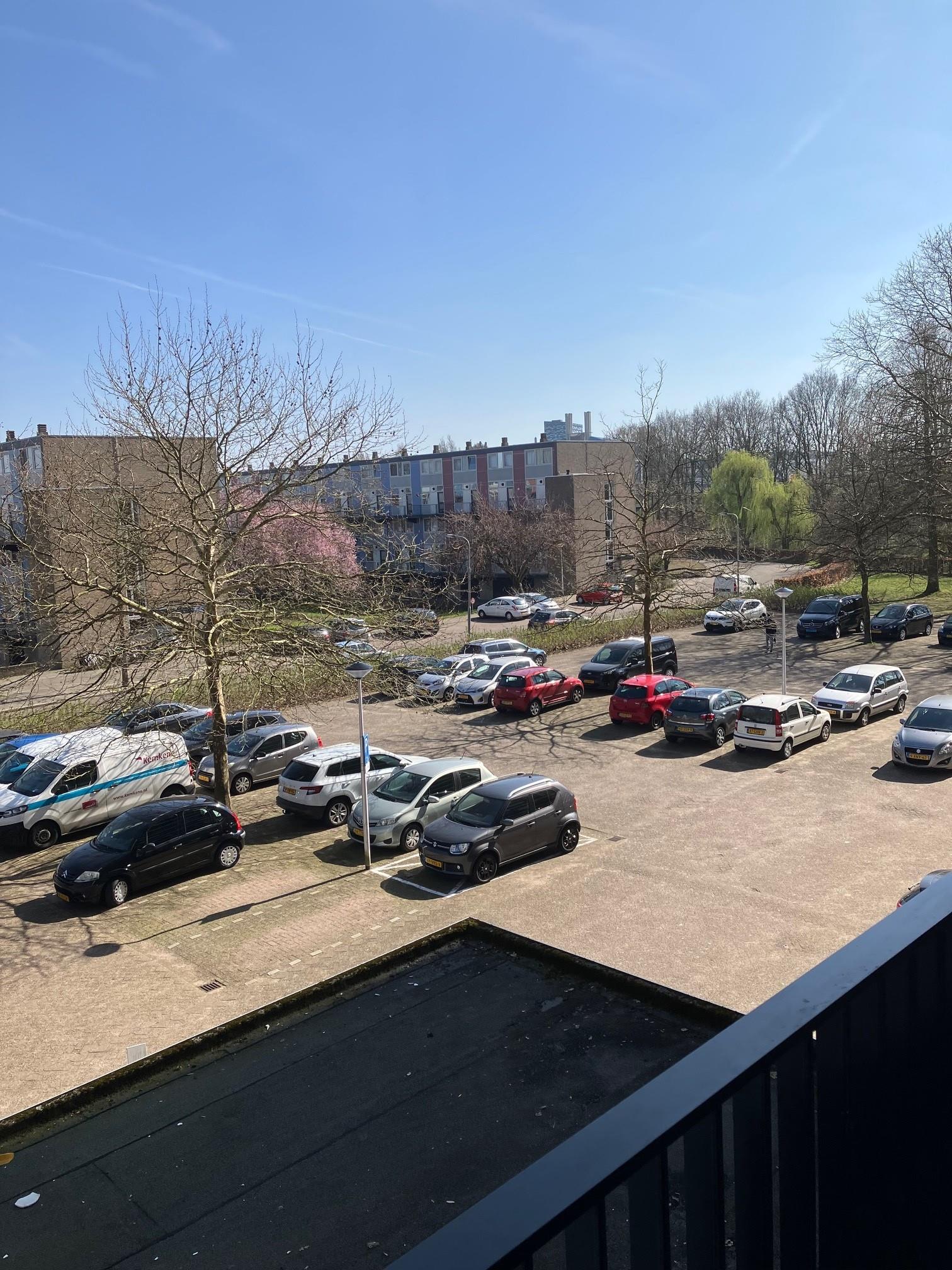 Nocturnestraat 29