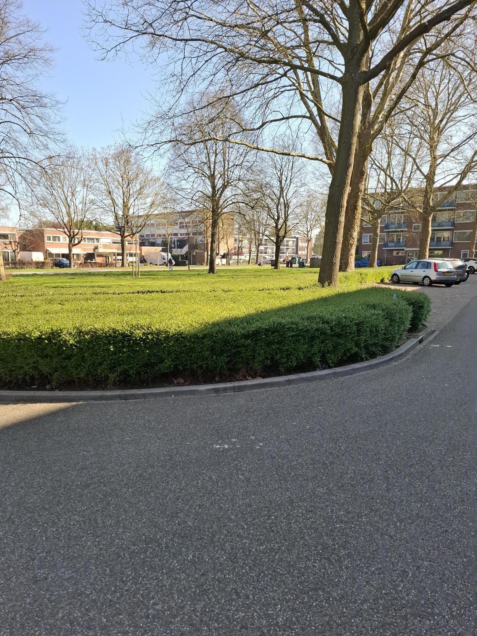 Vondellaan 24
