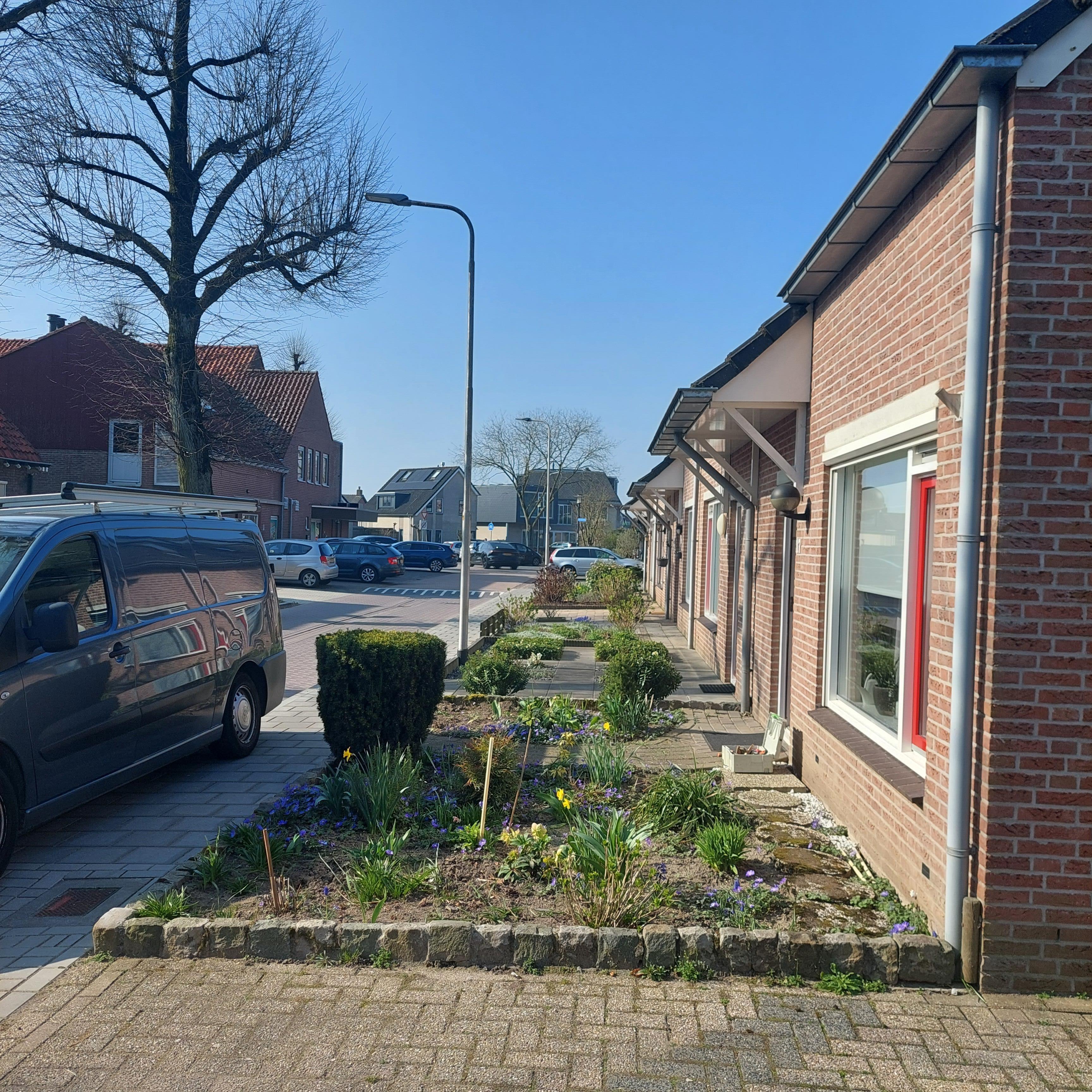Wijngaarden 17