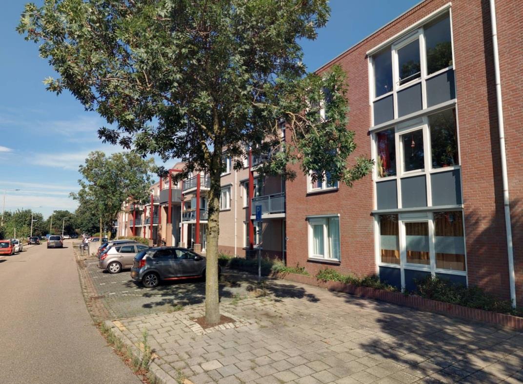 Witte de Withstraat 25