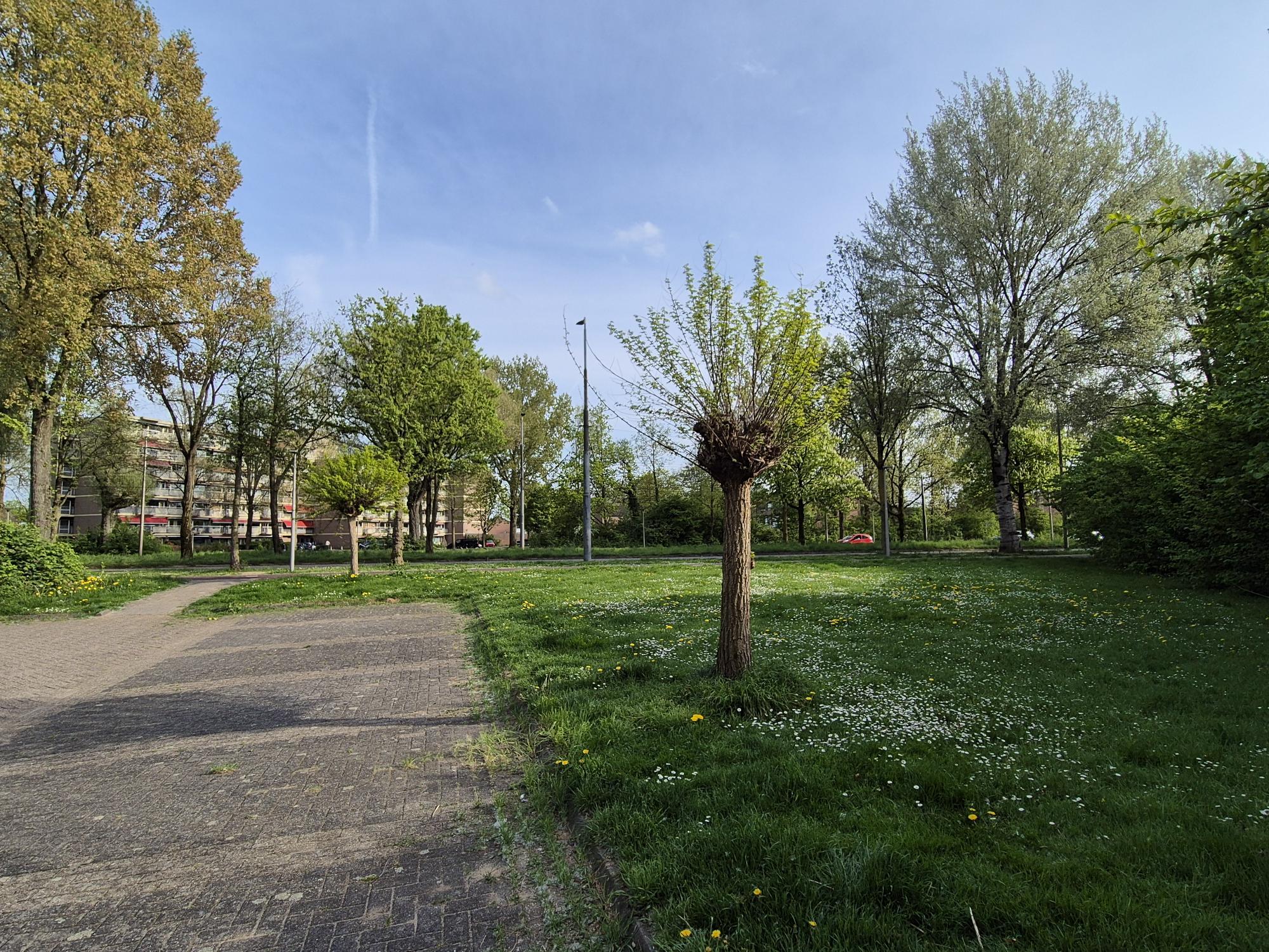Schepen Mijnschartstraat 74