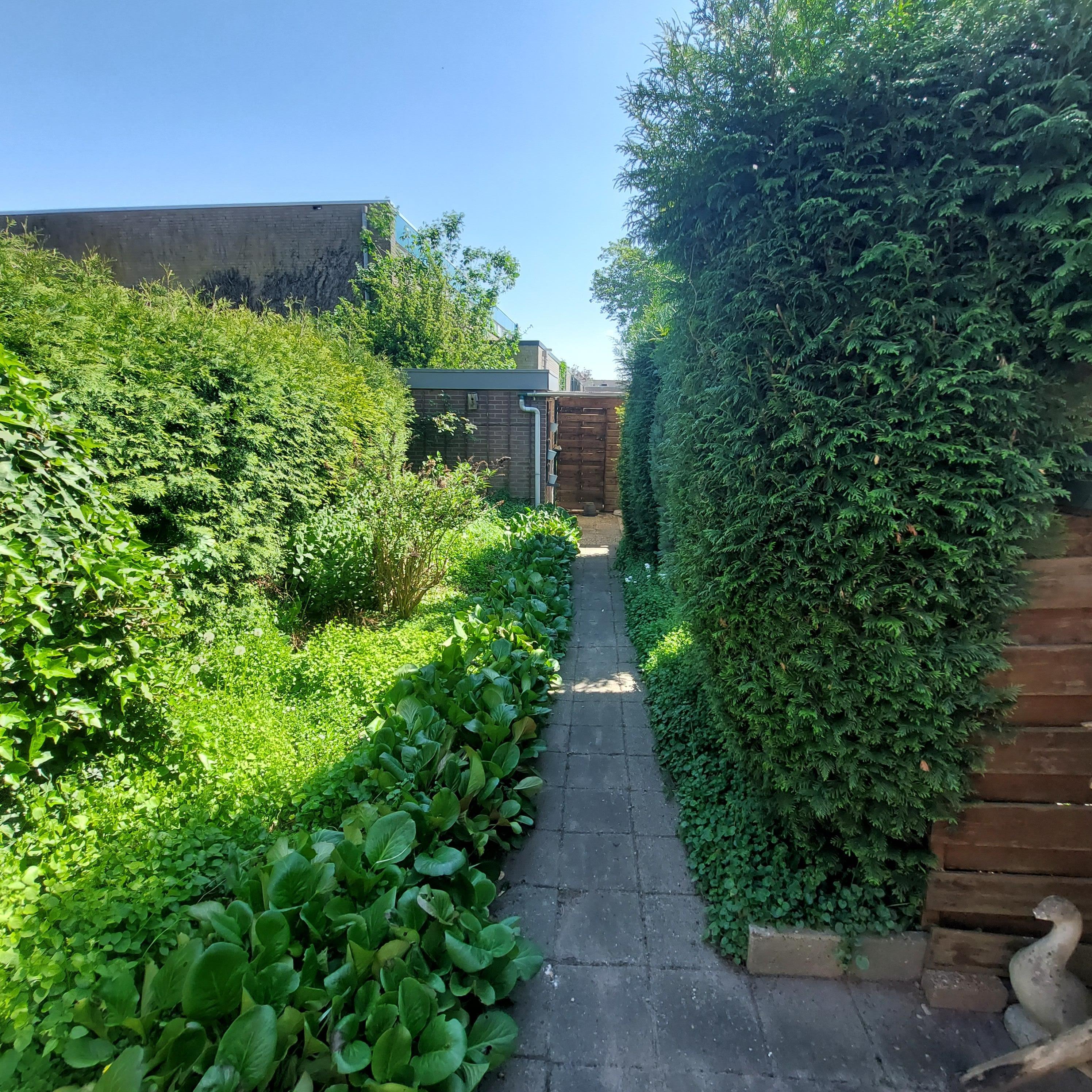 Bredestraat 11A